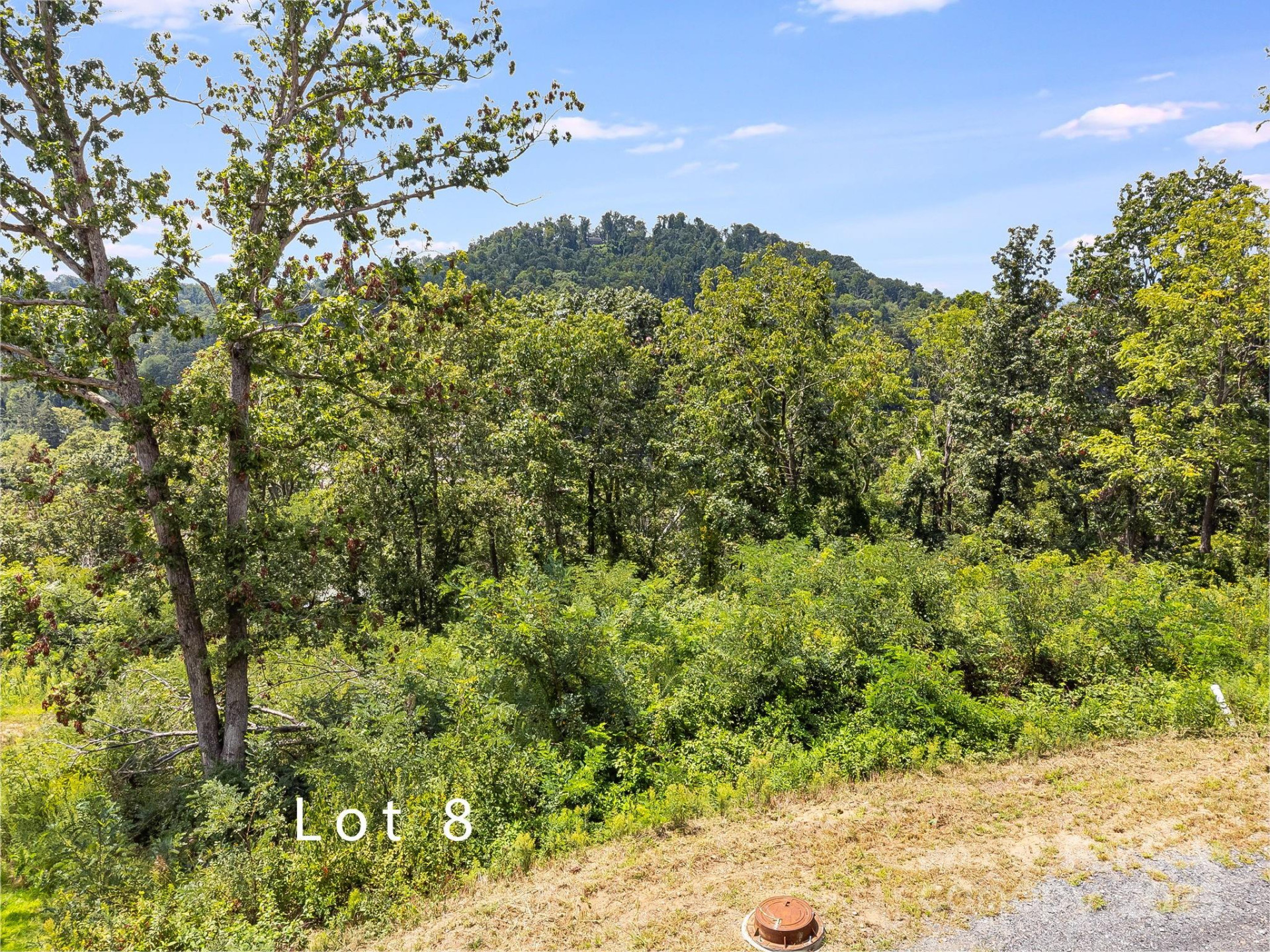 344 Espen Ridge #8 - Photo 5