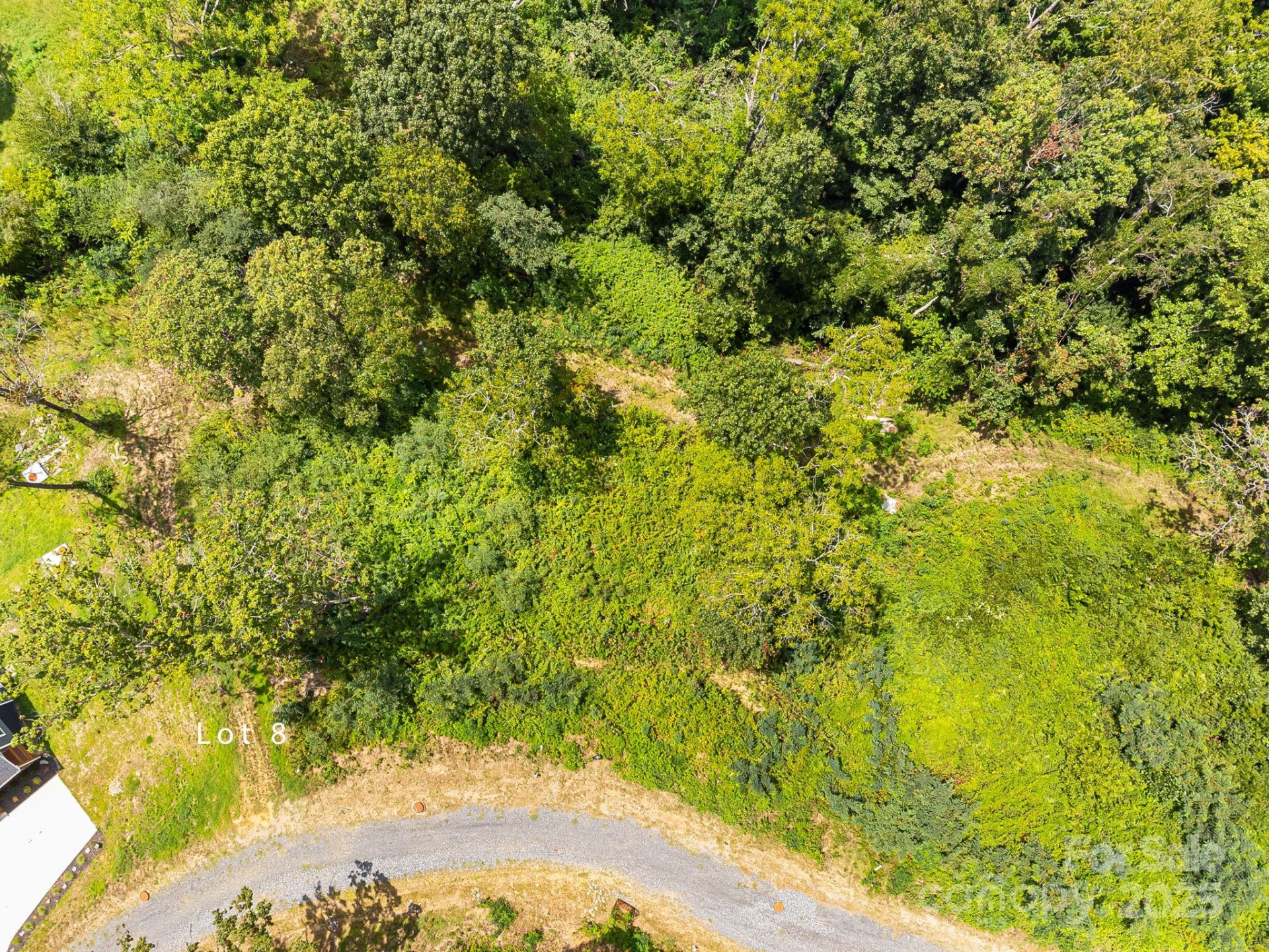 344 Espen Ridge #8 - Photo 6