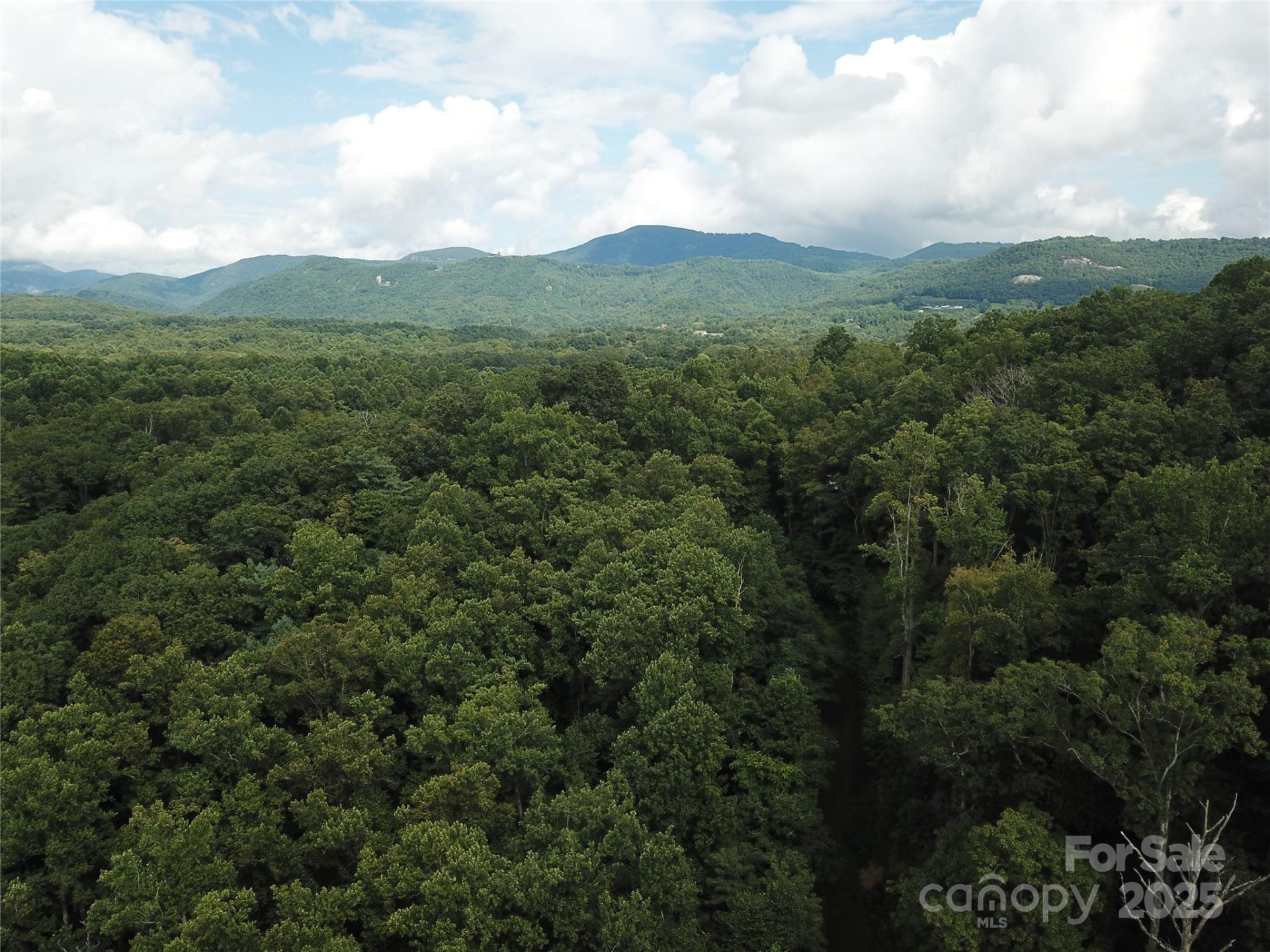 7 Pounding Mill None #7 - Photo 3