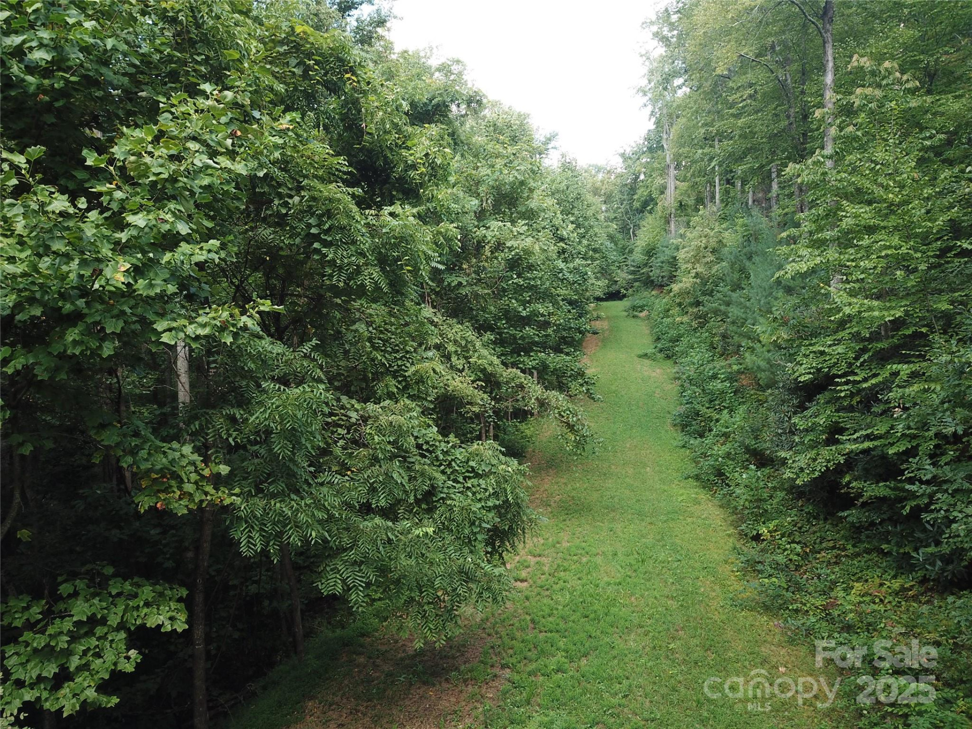 7 Pounding Mill None #7 - Photo 5