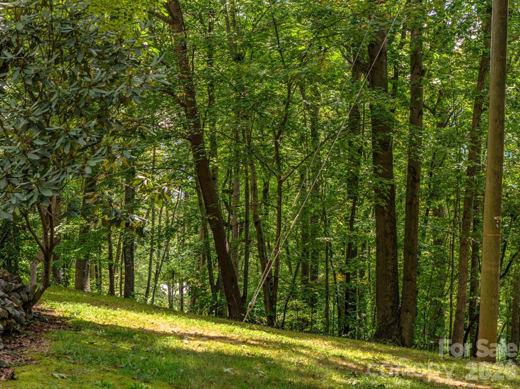 452 Cragmont Road - Photo 13