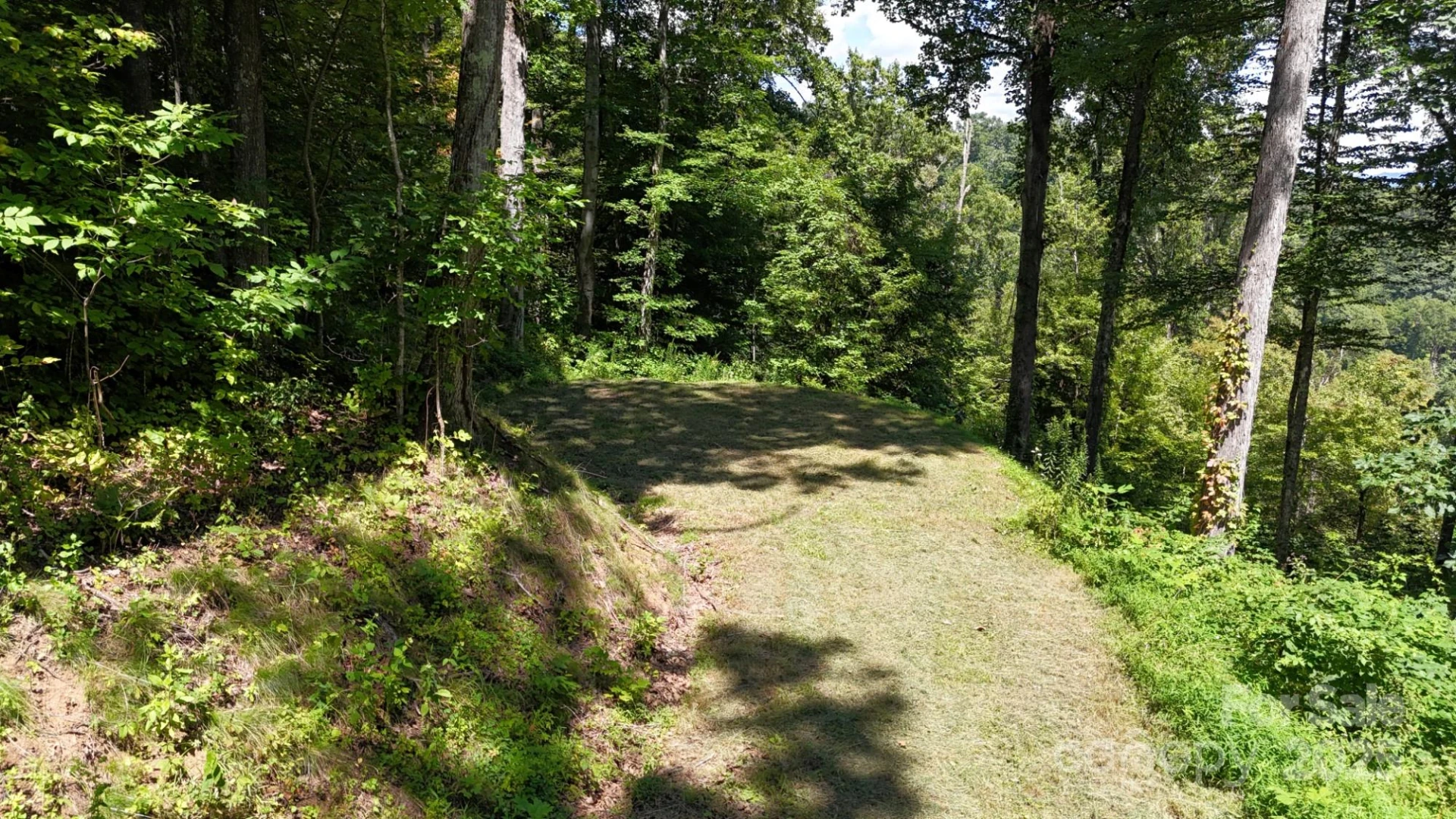 2222 Sleepy Hollow Drive - Photo 11