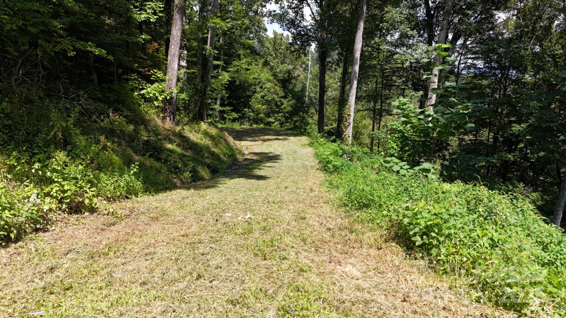 2222 Sleepy Hollow Drive - Photo 12