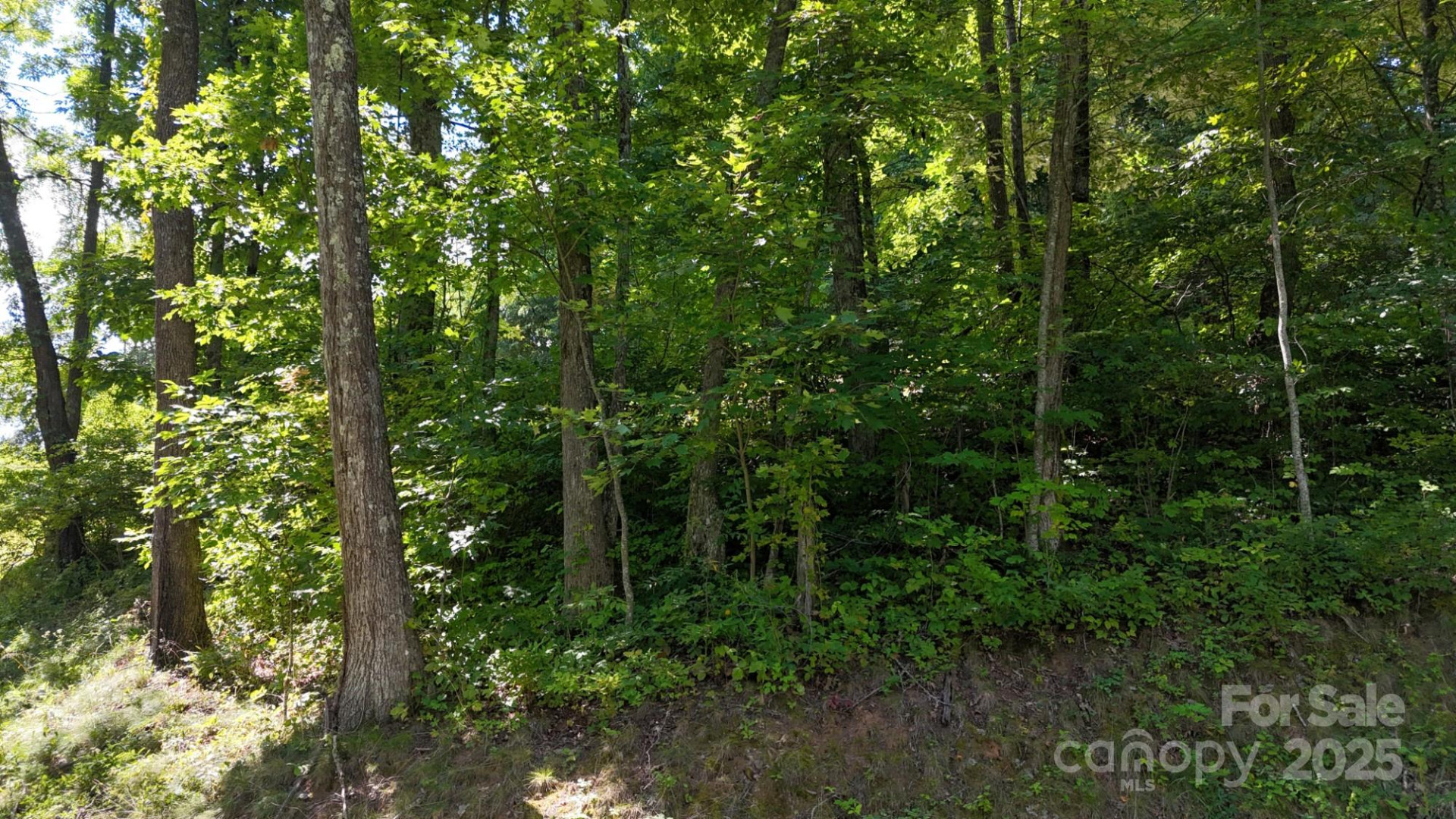 2222 Sleepy Hollow Drive - Photo 14