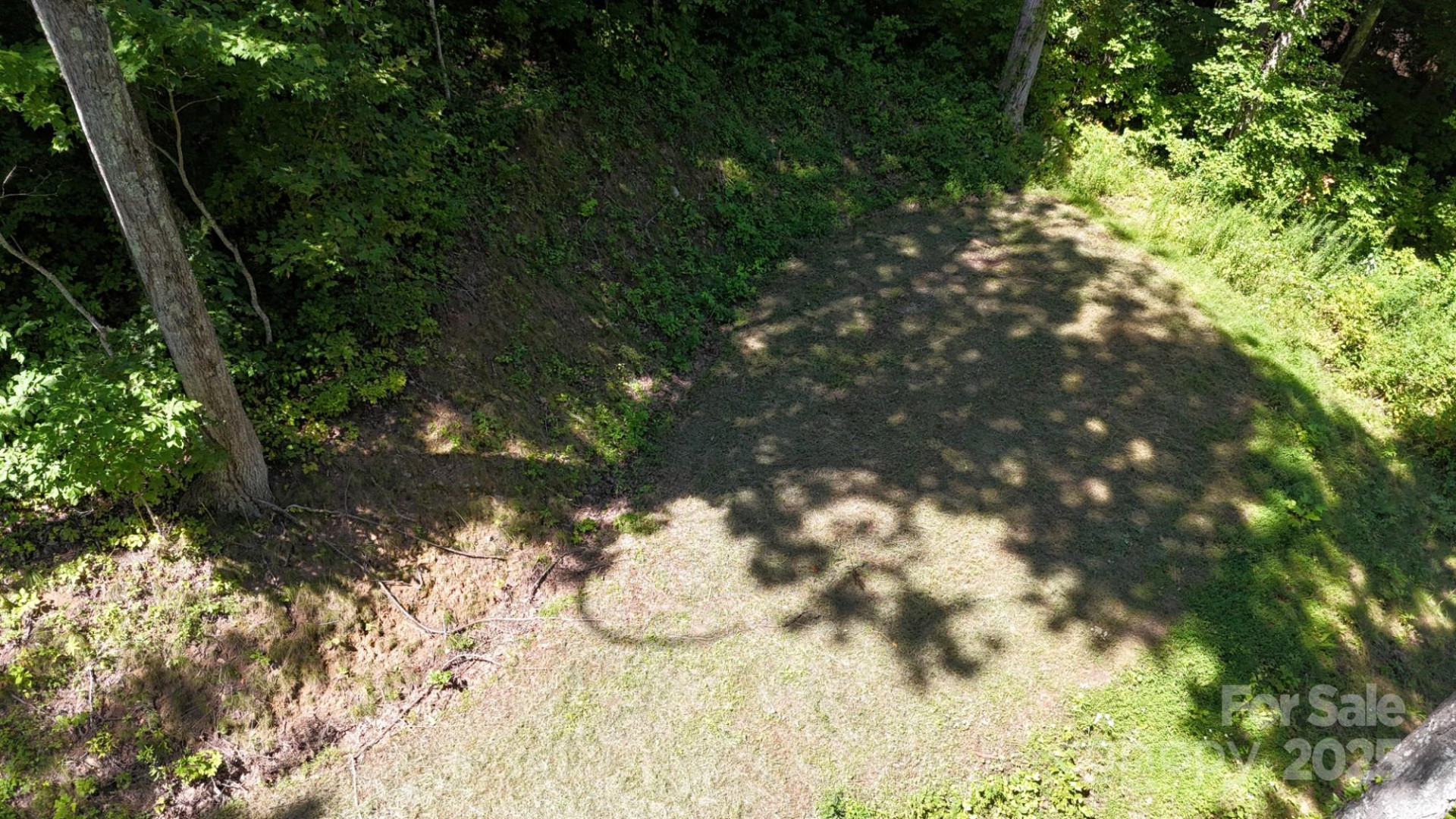 2222 Sleepy Hollow Drive - Photo 6