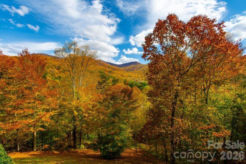 39 Ox bow Crossing - Photo 2