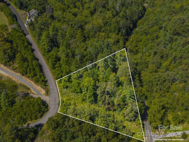 0000 Highland Creek Drive, Marshall, NC, 28753