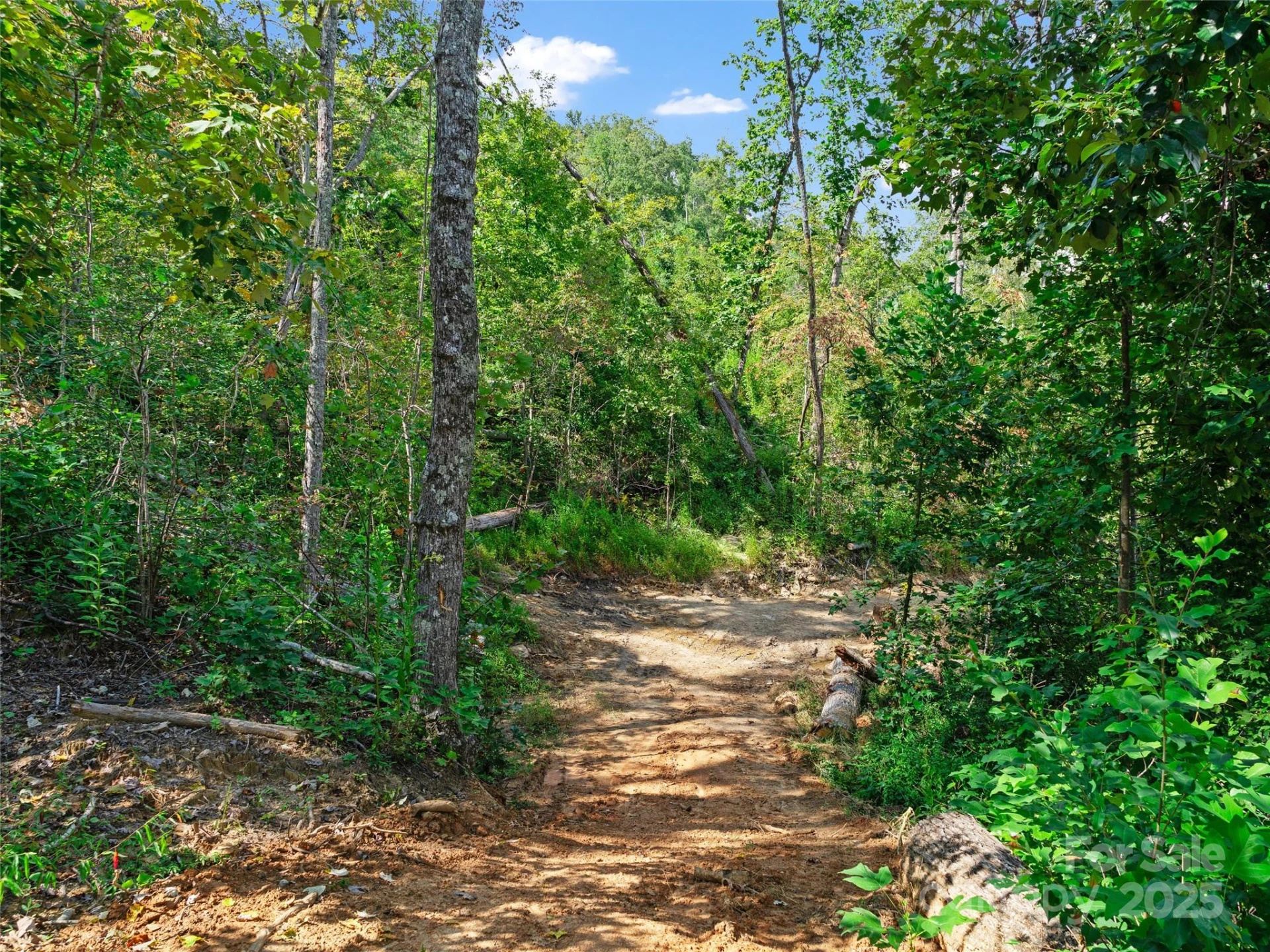 99999 Youngs Gap Road - Photo 23