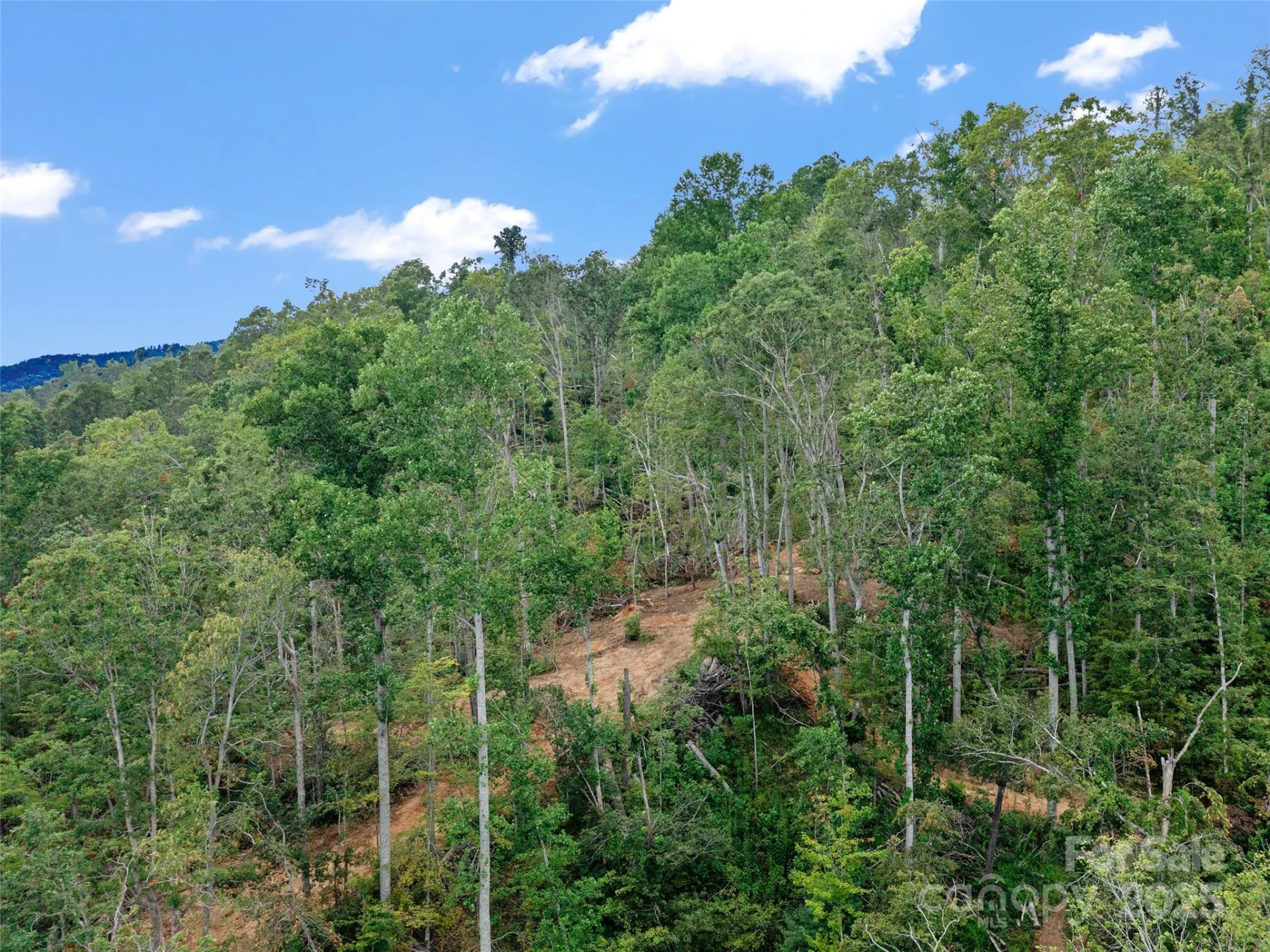 99999 Youngs Gap Road - Photo 30