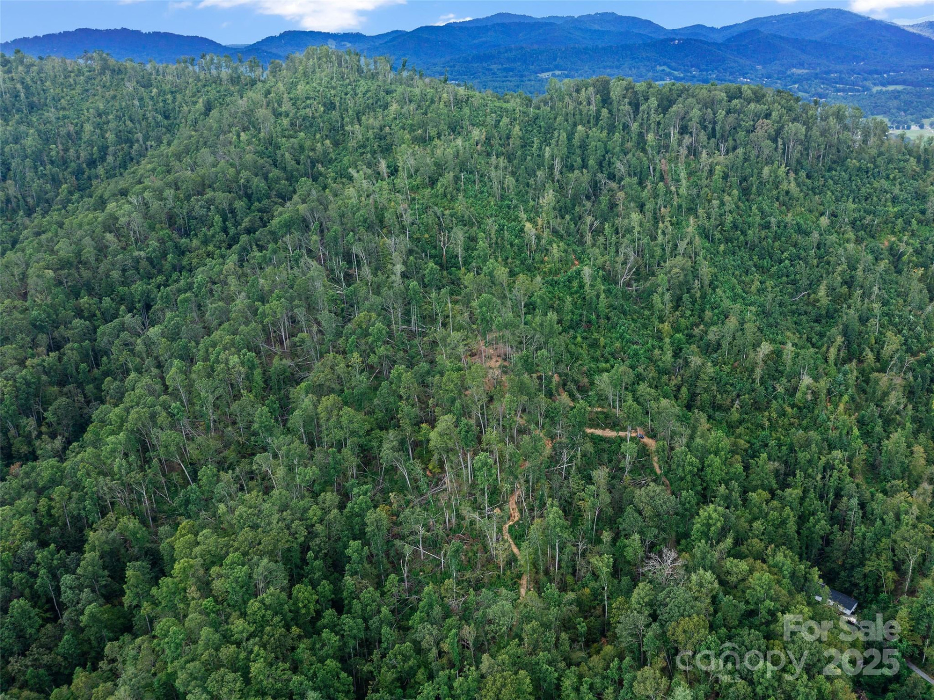 99999 Youngs Gap Road - Photo 32