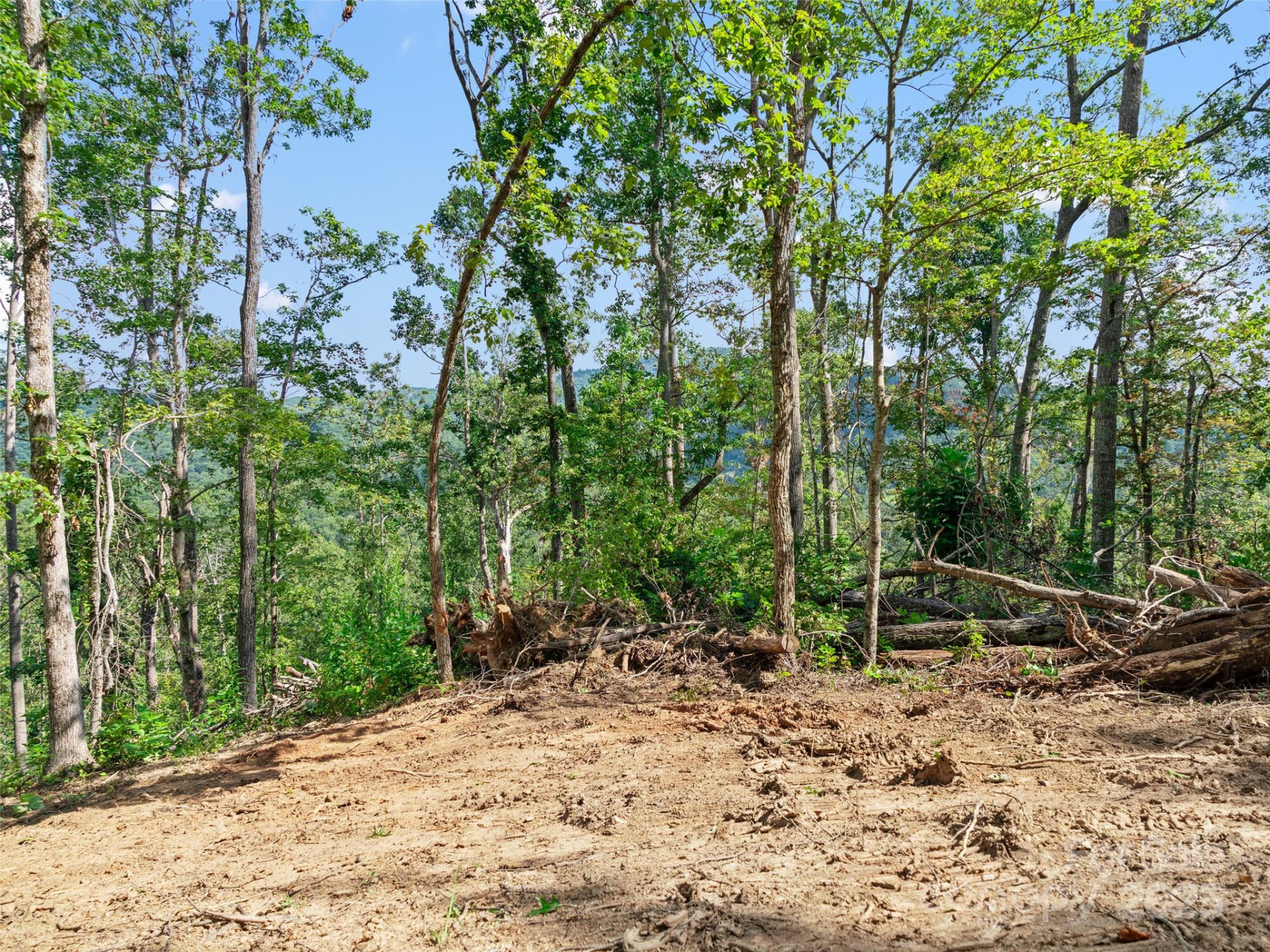 99999 Youngs Gap Road - Photo 8