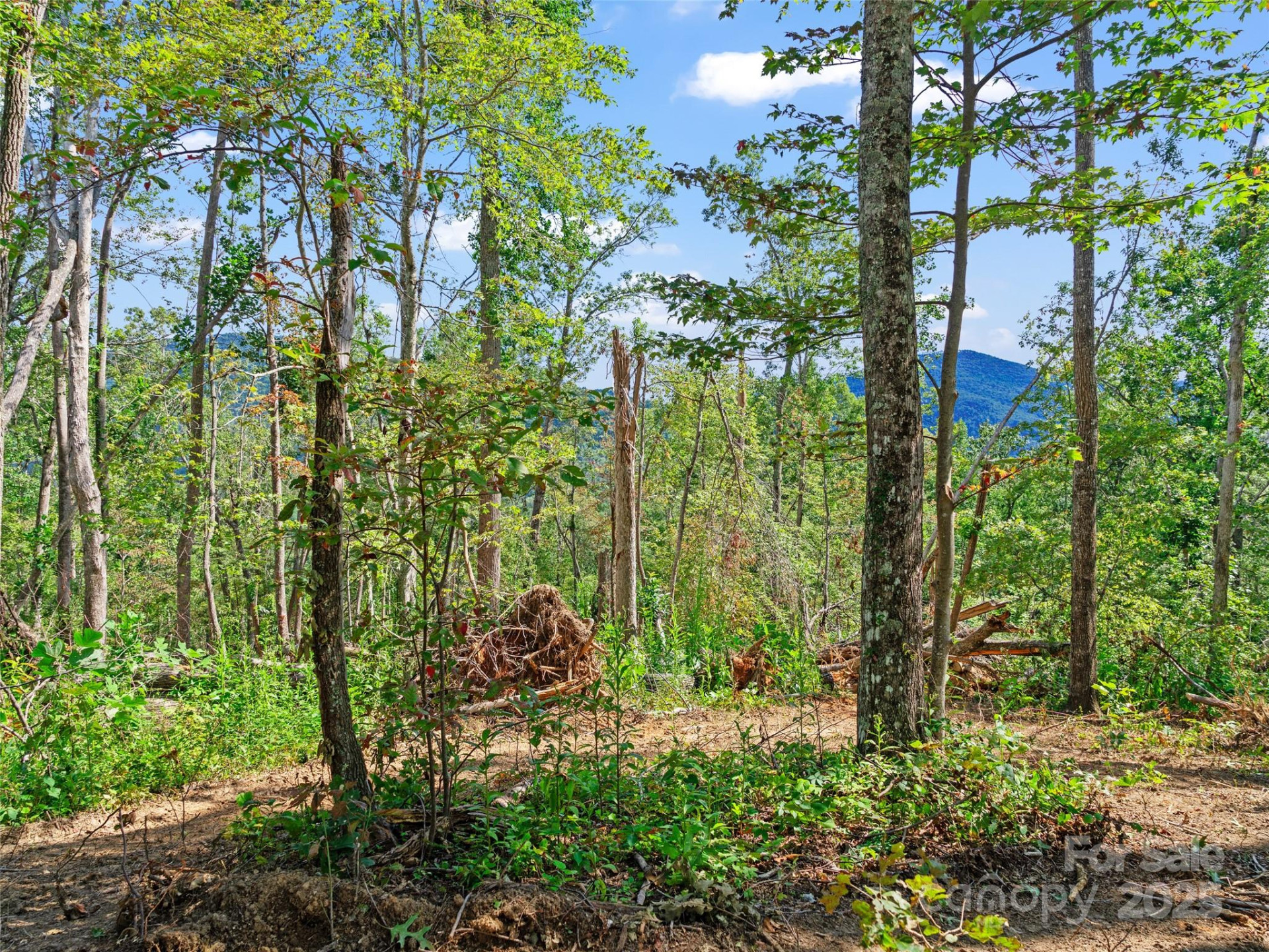 99999 Youngs Gap Road - Photo 10