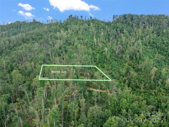 99999 Youngs Gap Road