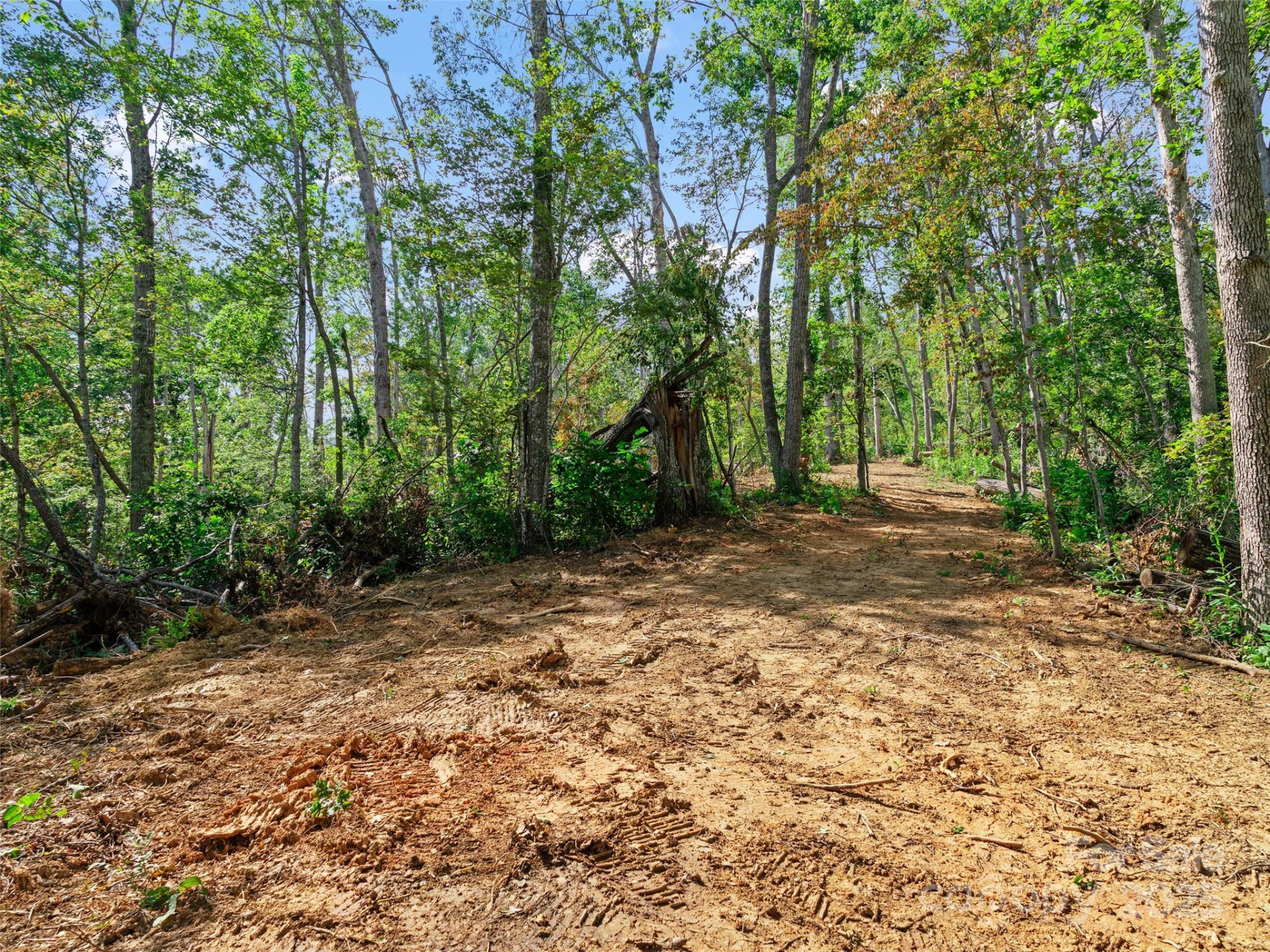 99999 Youngs Gap Road #North Lot - Photo 12