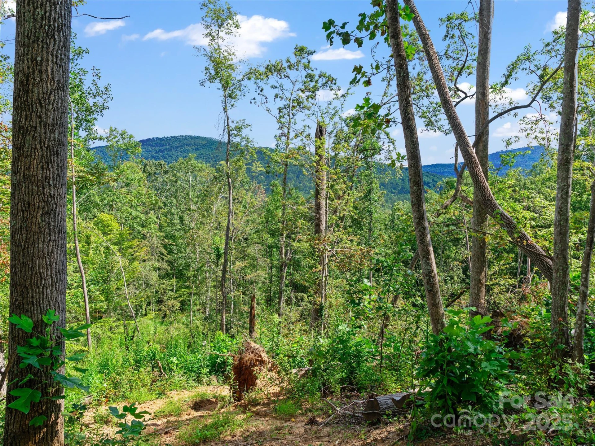 99999 Youngs Gap Road #North Lot - Photo 16