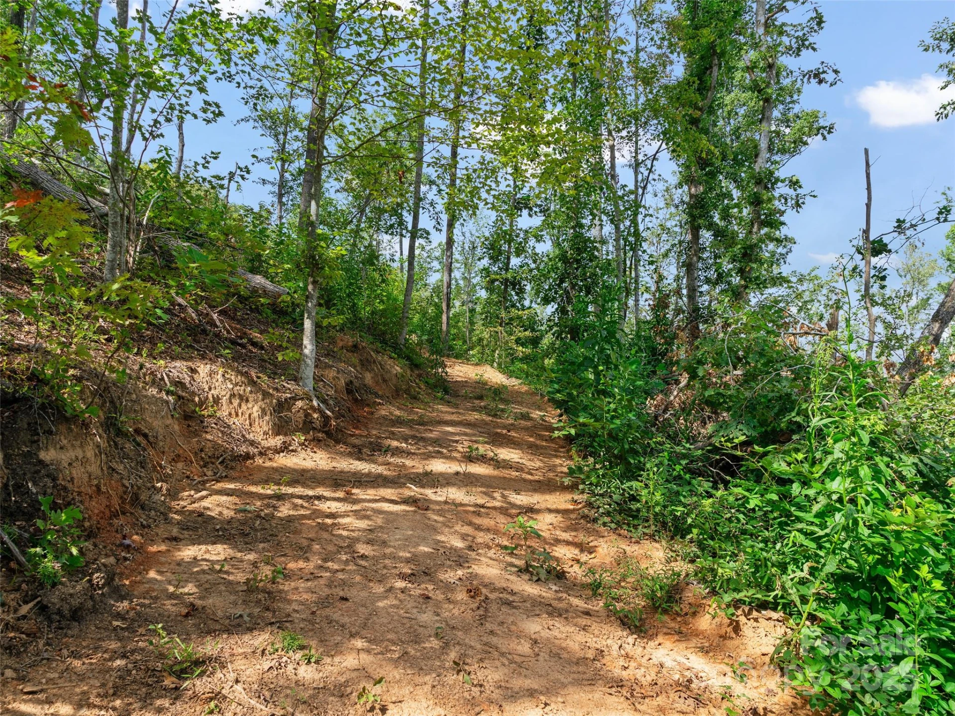 99999 Youngs Gap Road #North Lot - Photo 17
