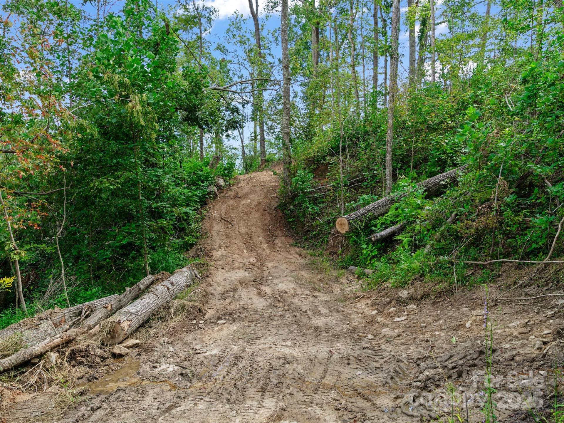 99999 Youngs Gap Road #North Lot - Photo 19