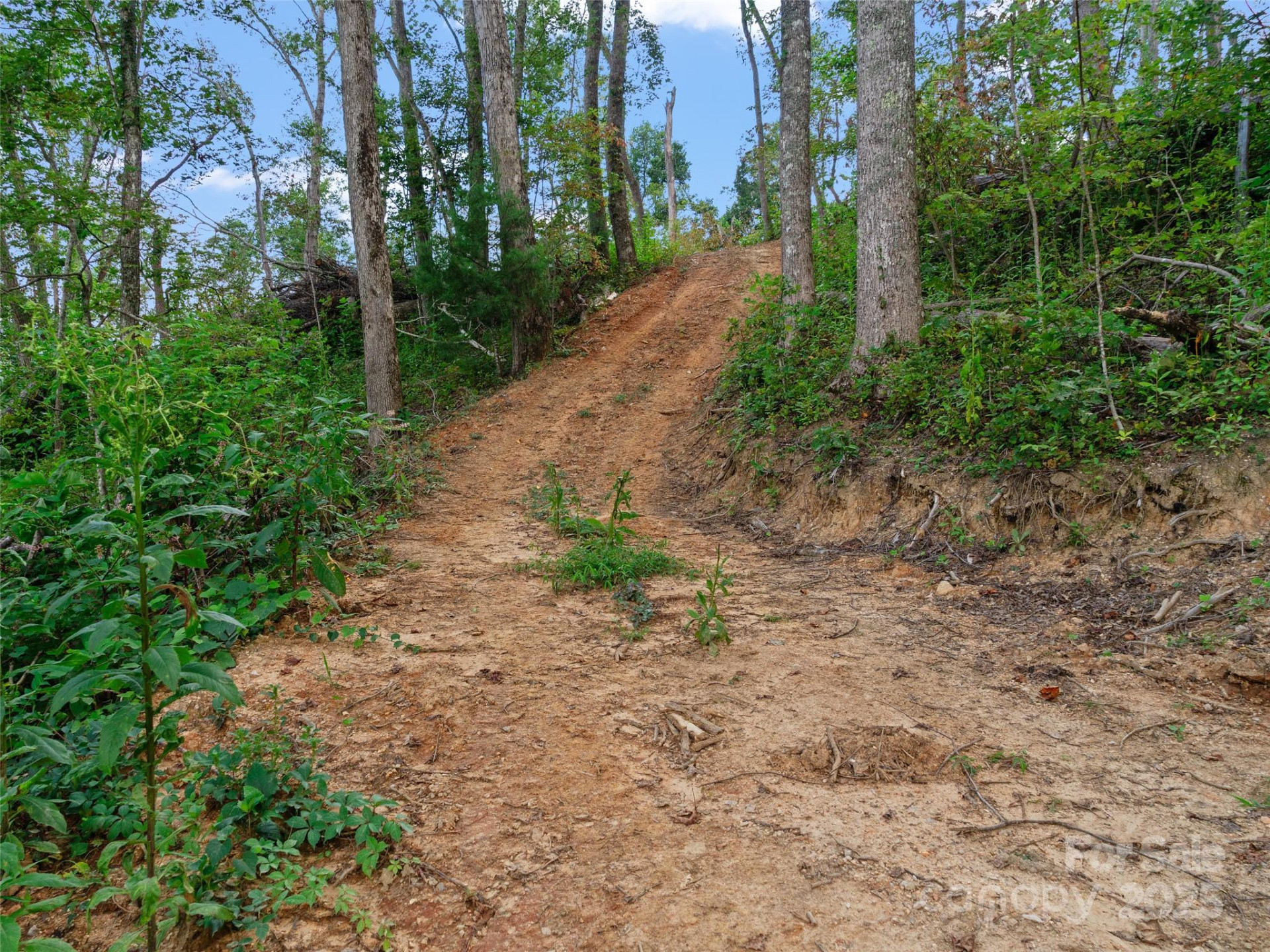 99999 Youngs Gap Road #North Lot - Photo 20