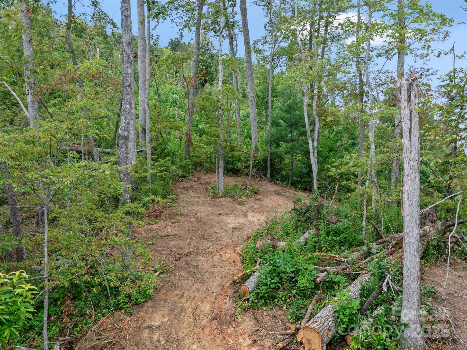99999 Youngs Gap Road #North Lot - Photo 21