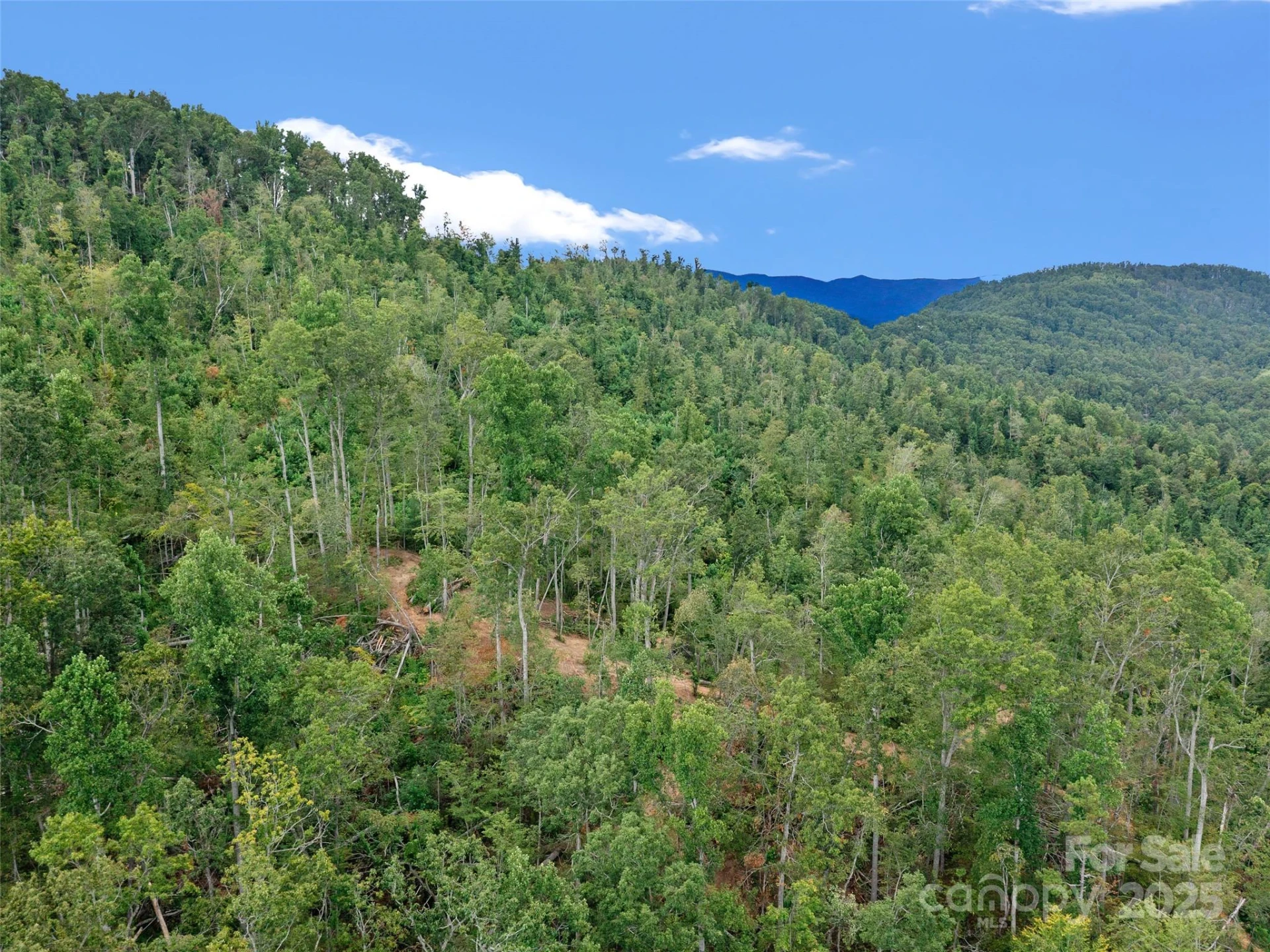 99999 Youngs Gap Road #North Lot - Photo 22