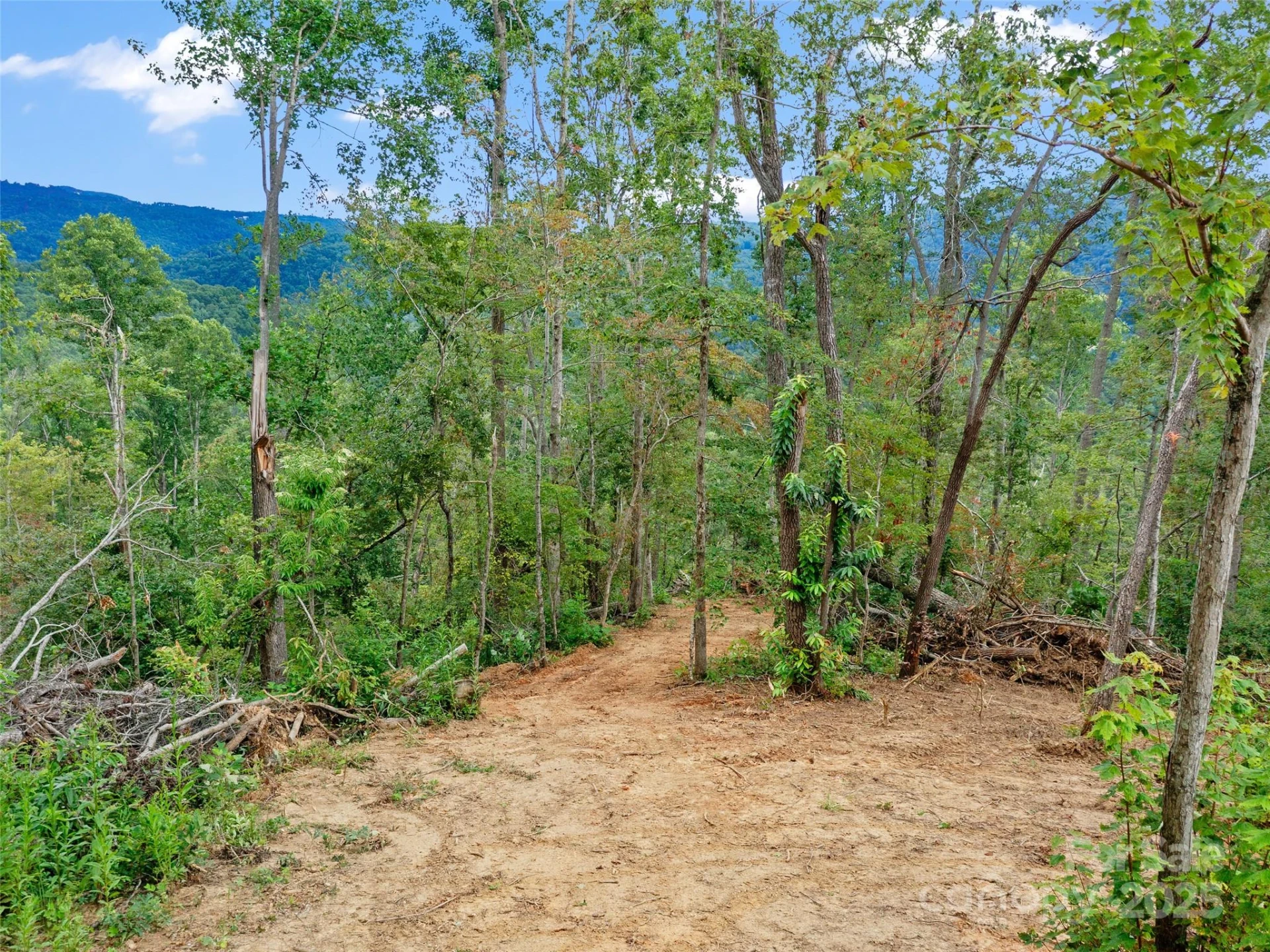 99999 Youngs Gap Road #North Lot - Photo 25