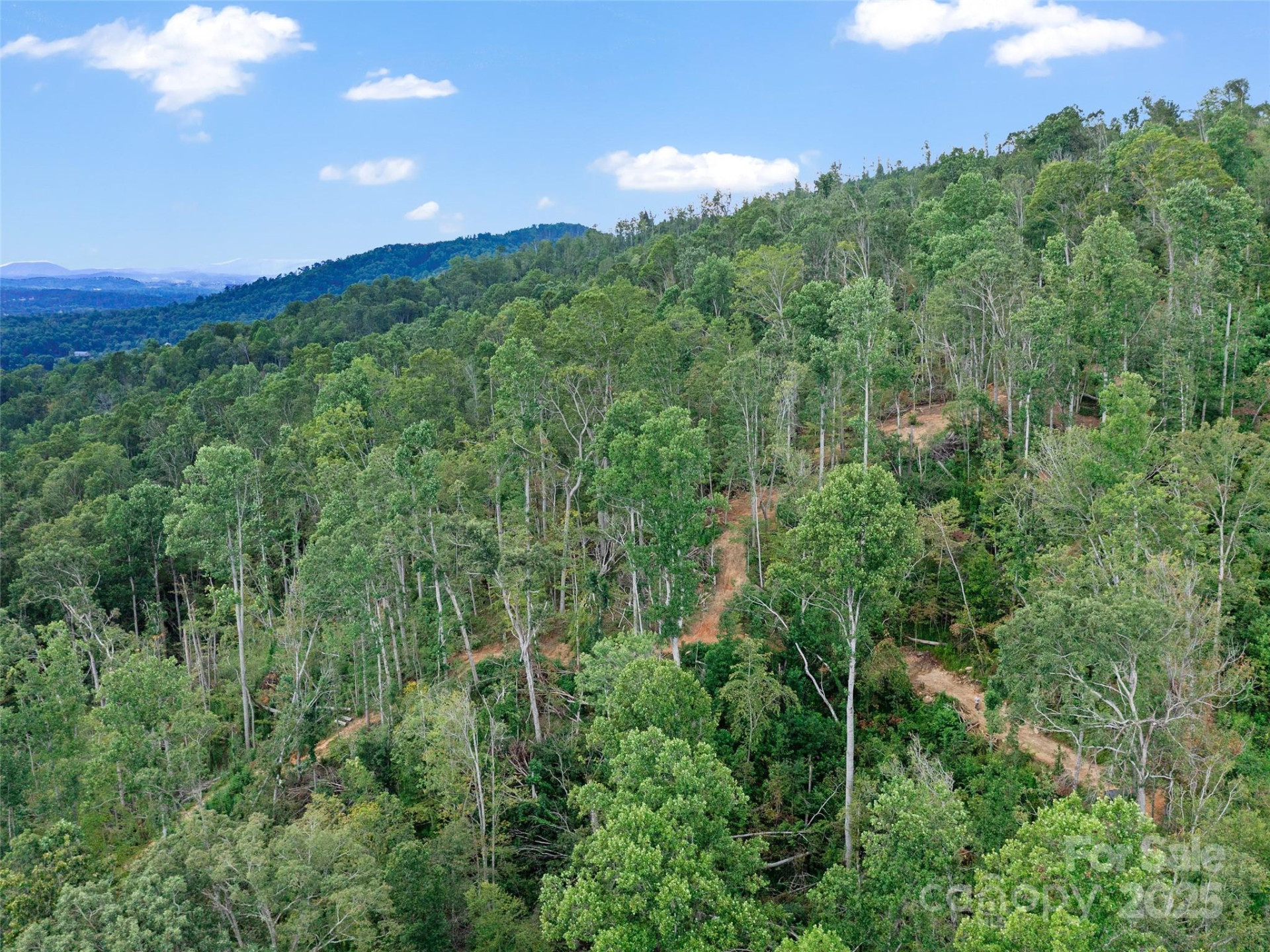 99999 Youngs Gap Road #North Lot - Photo 29