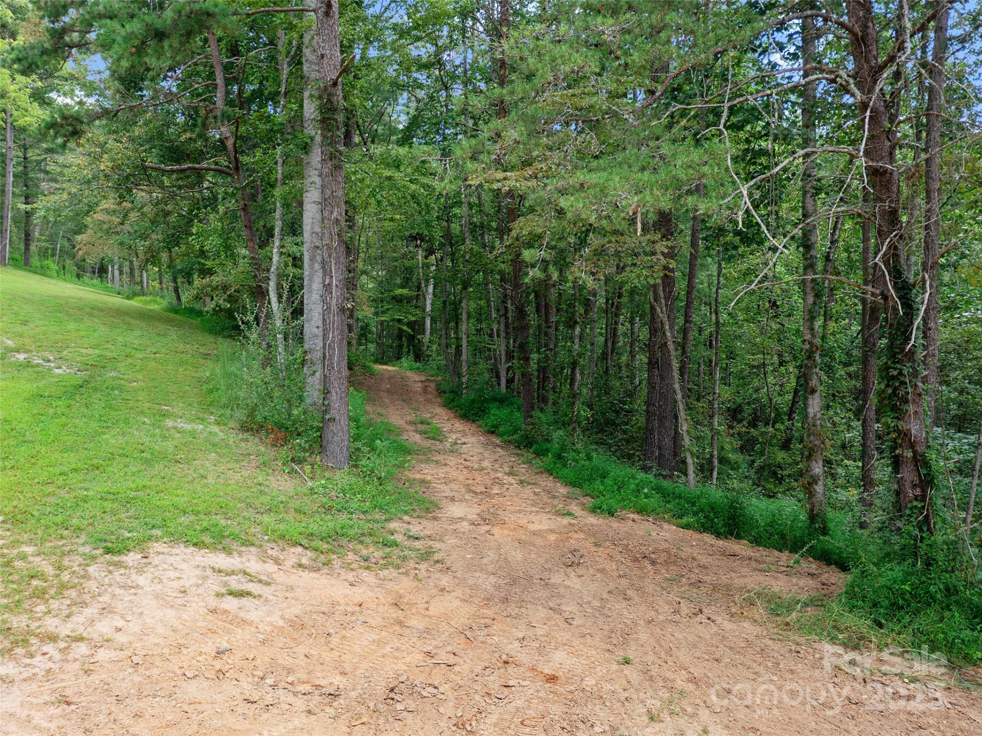 99999 Youngs Gap Road #North Lot - Photo 30