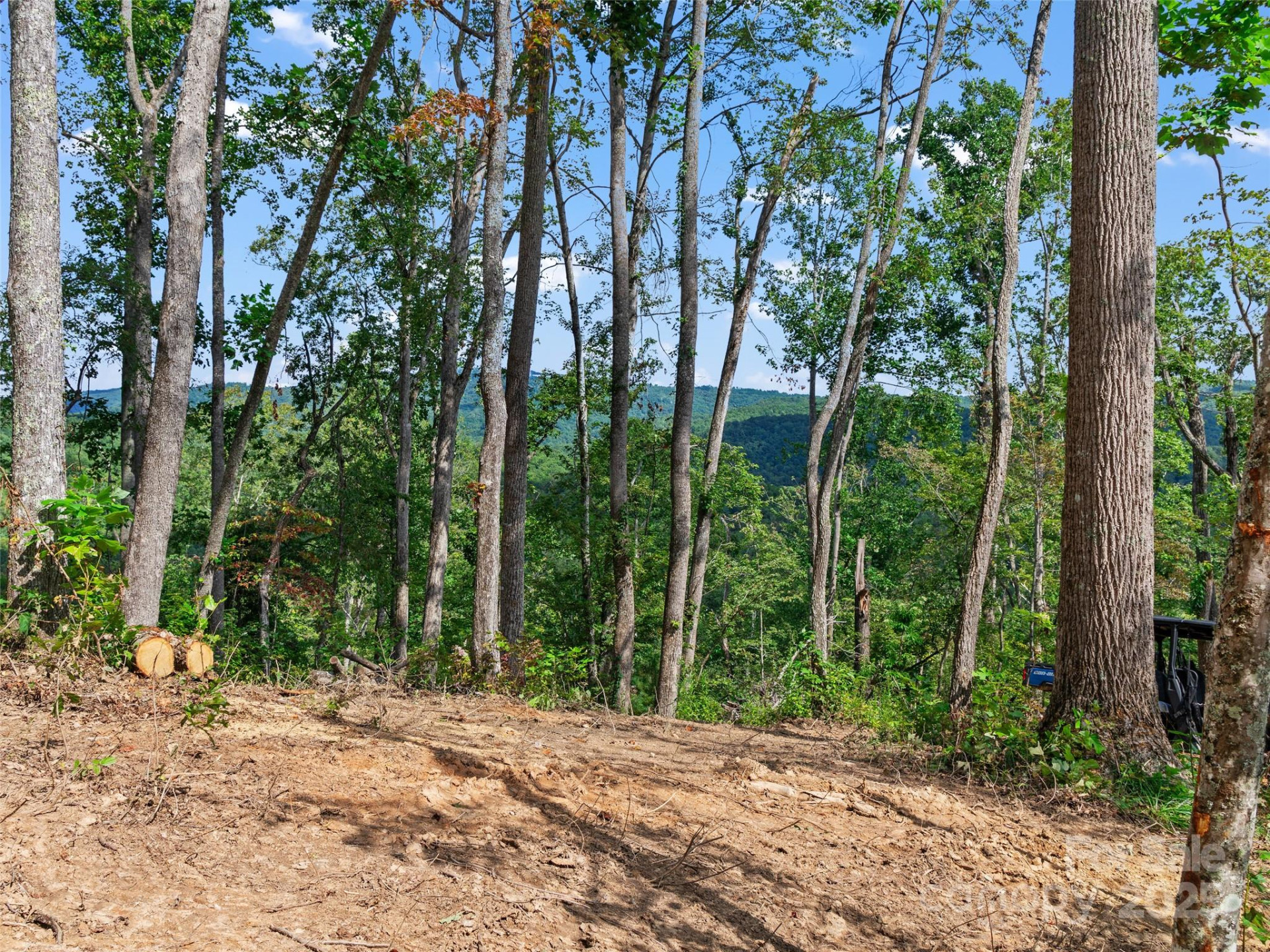 99999 Youngs Gap Road #North Lot - Photo 4