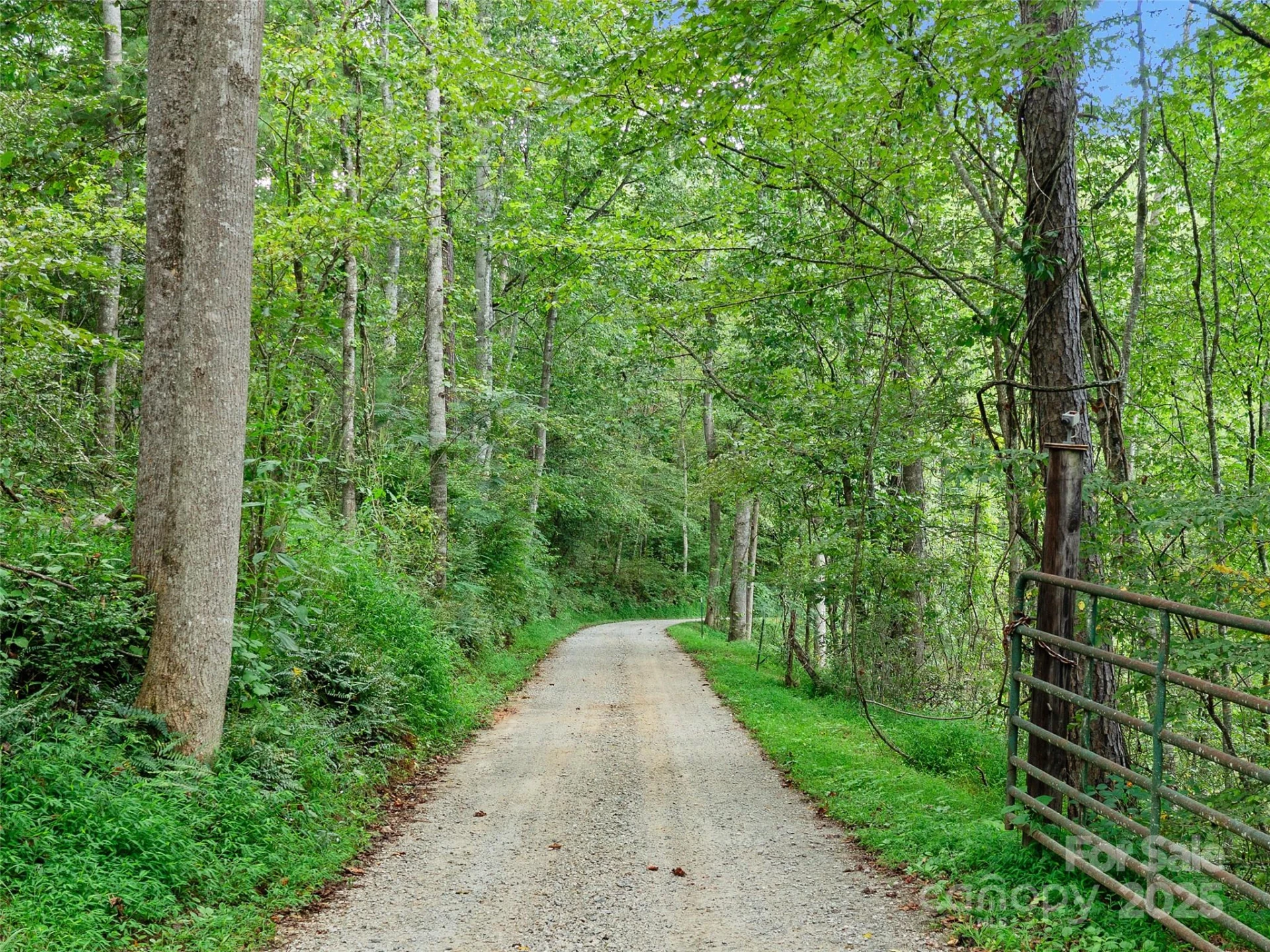 99999 Youngs Gap Road #North Lot - Photo 31