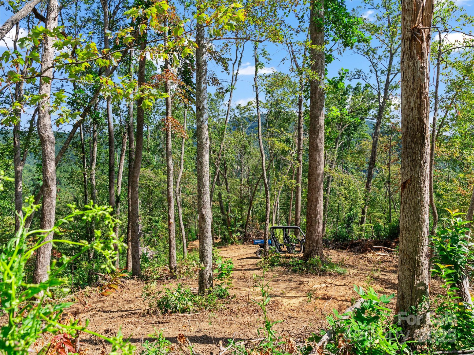 99999 Youngs Gap Road #North Lot - Photo 5