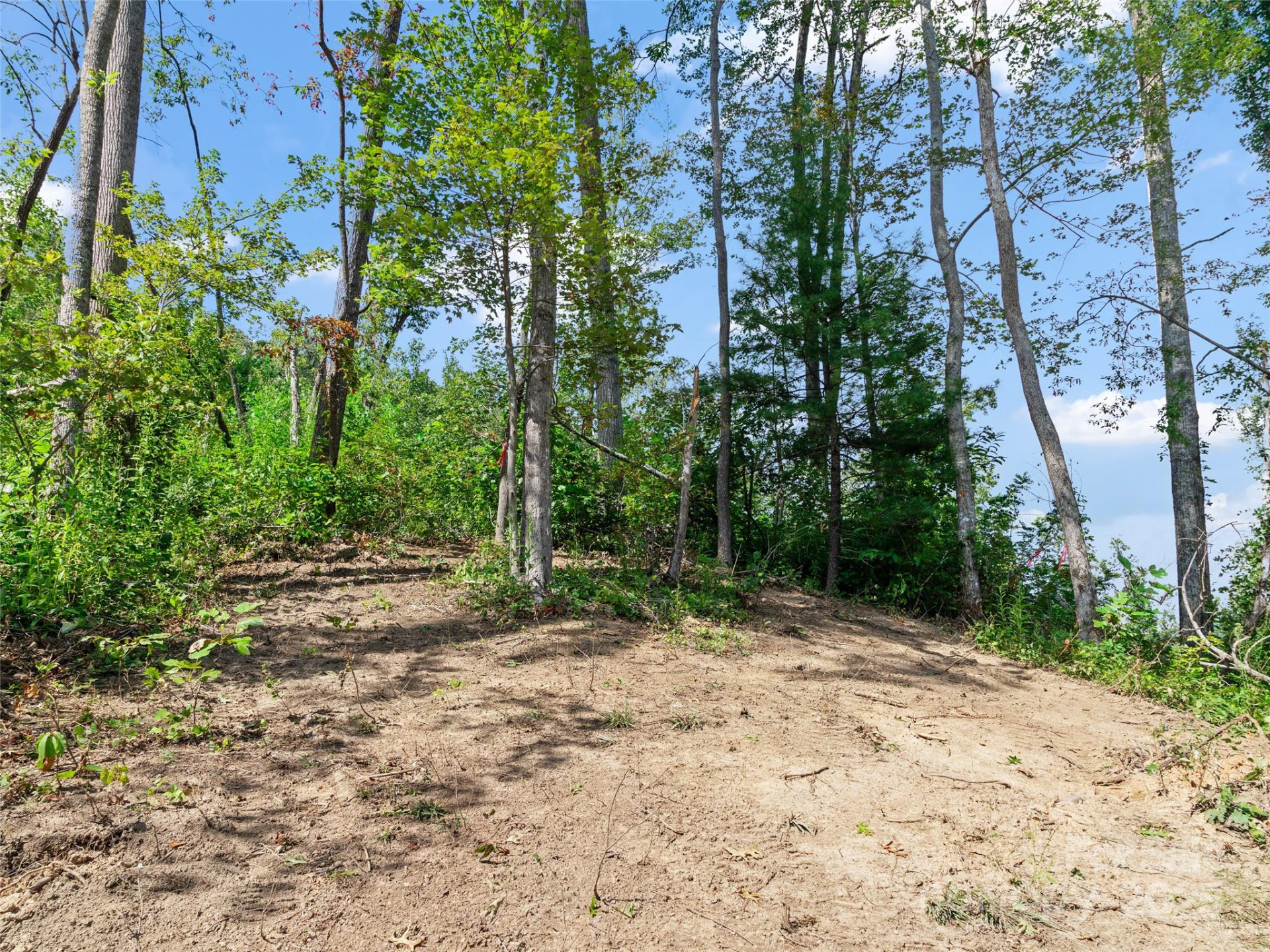 99999 Youngs Gap Road #North Lot - Photo 6