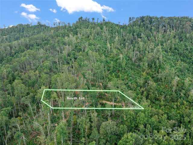 99999 Youngs Gap Road