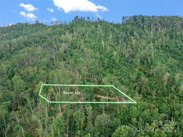 99999 Youngs Gap Road, Fletcher, NC, 28732