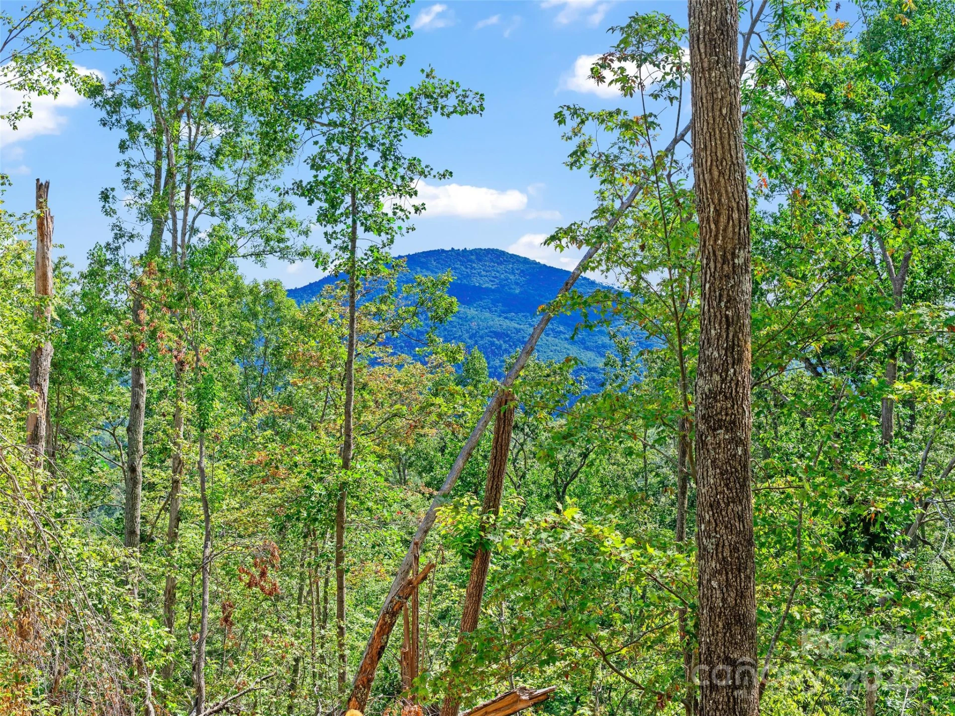 99999 Youngs Gap Road #South Lot - Photo 2