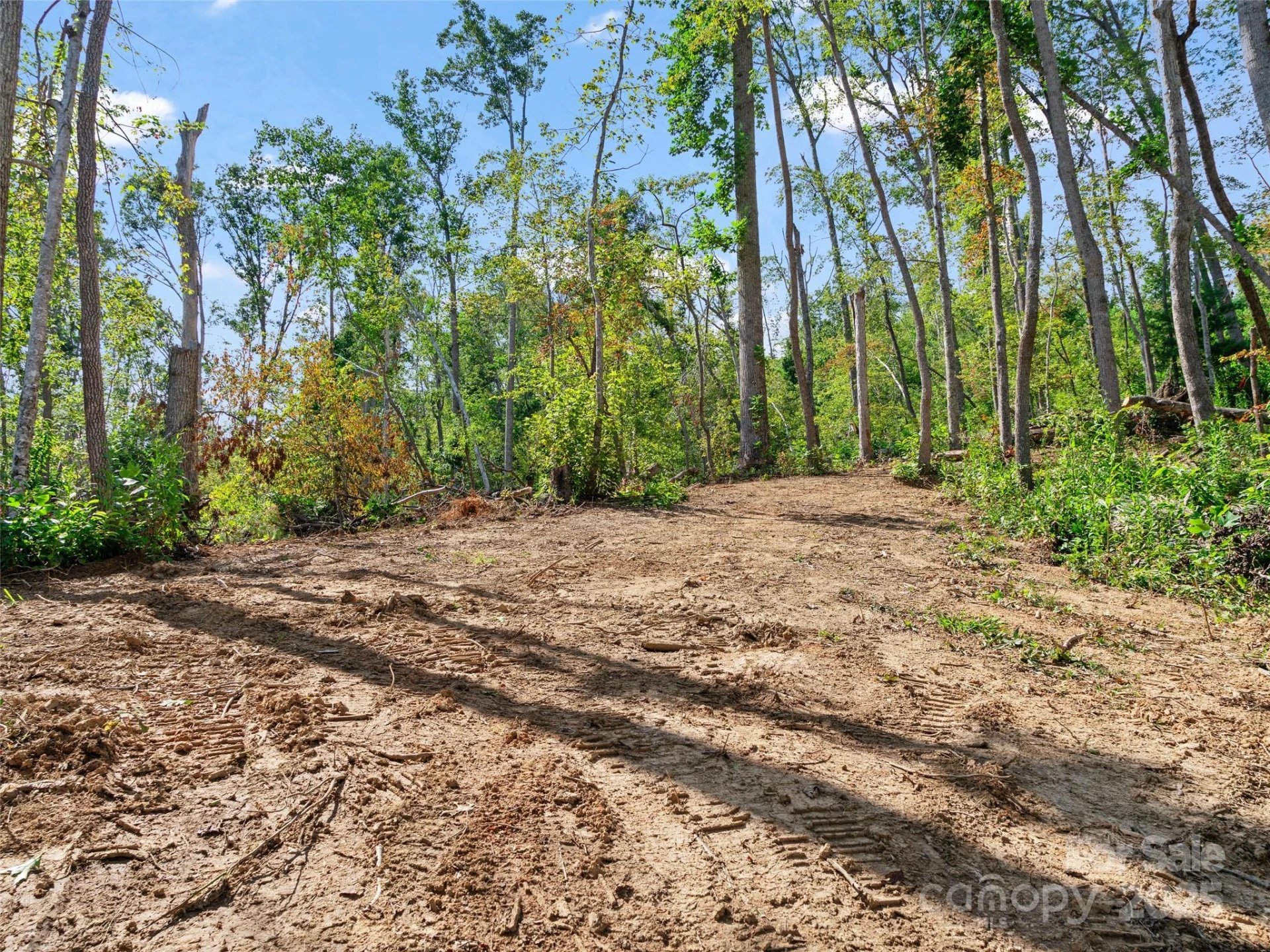 99999 Youngs Gap Road #South Lot - Photo 11