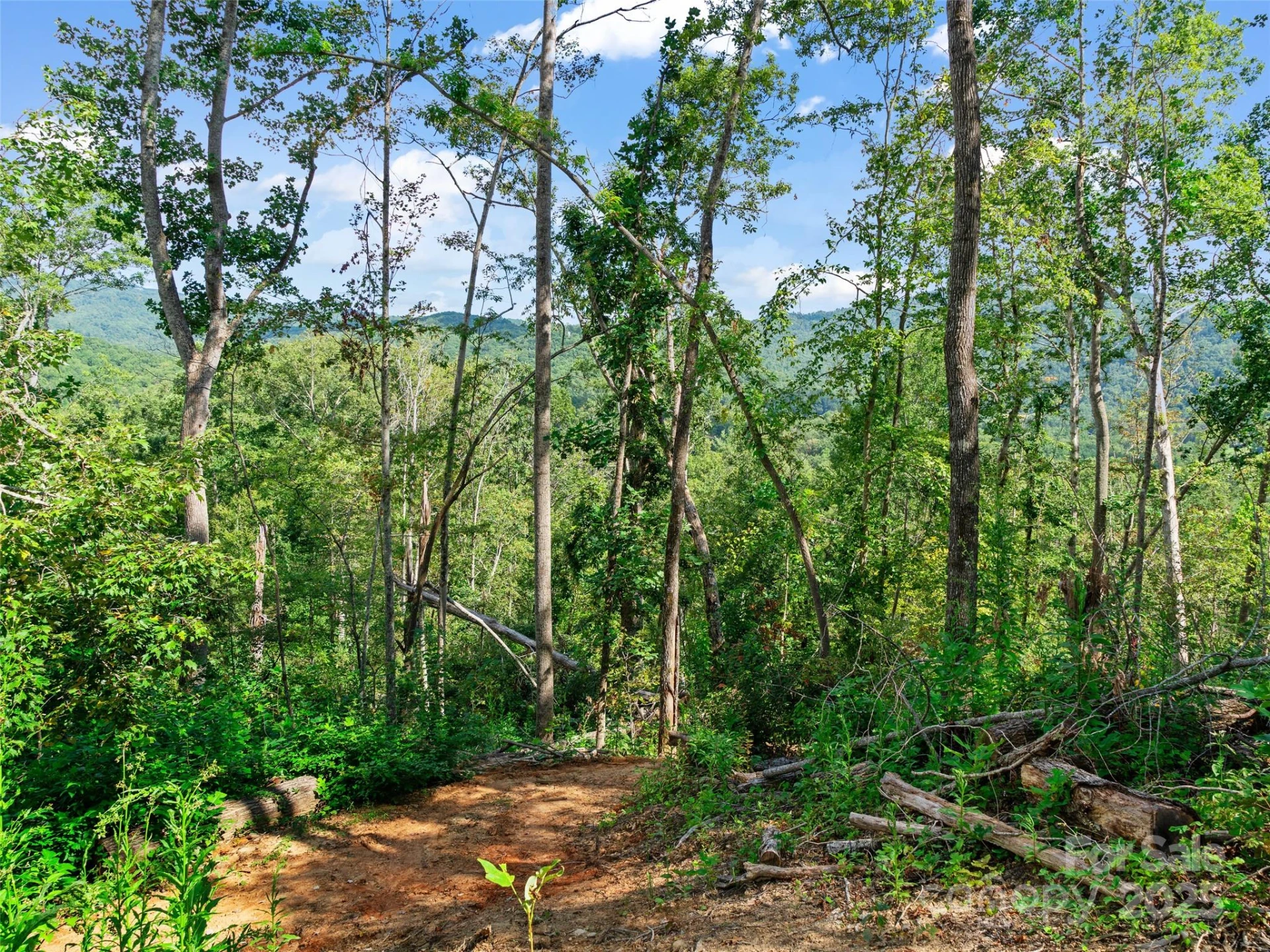 99999 Youngs Gap Road #South Lot - Photo 13