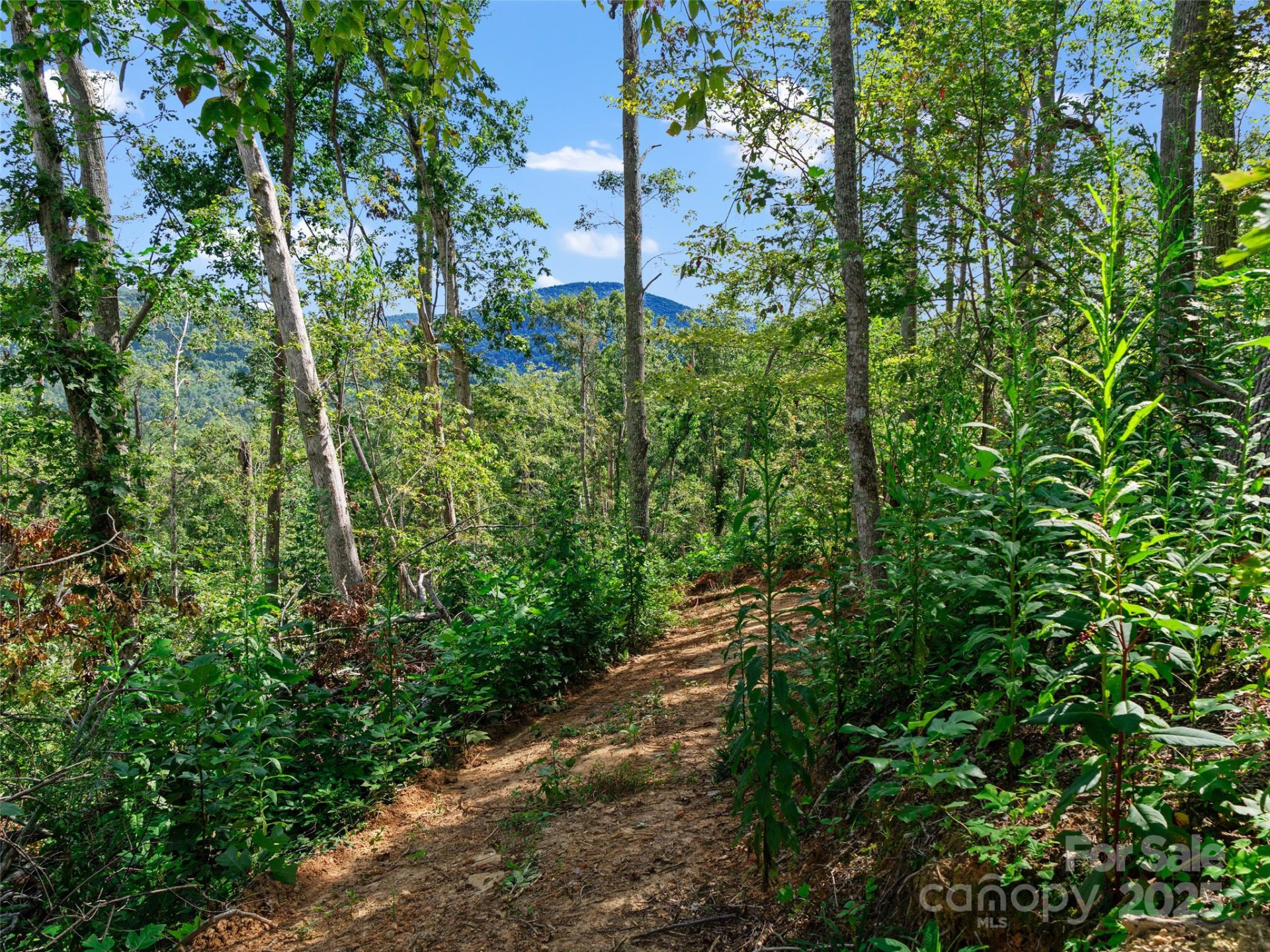 99999 Youngs Gap Road #South Lot - Photo 15