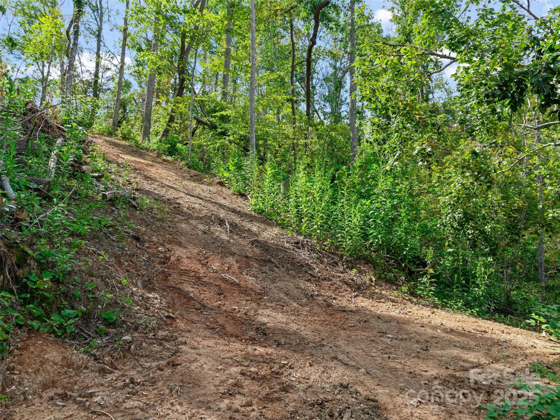 99999 Youngs Gap Road #South Lot - Photo 18