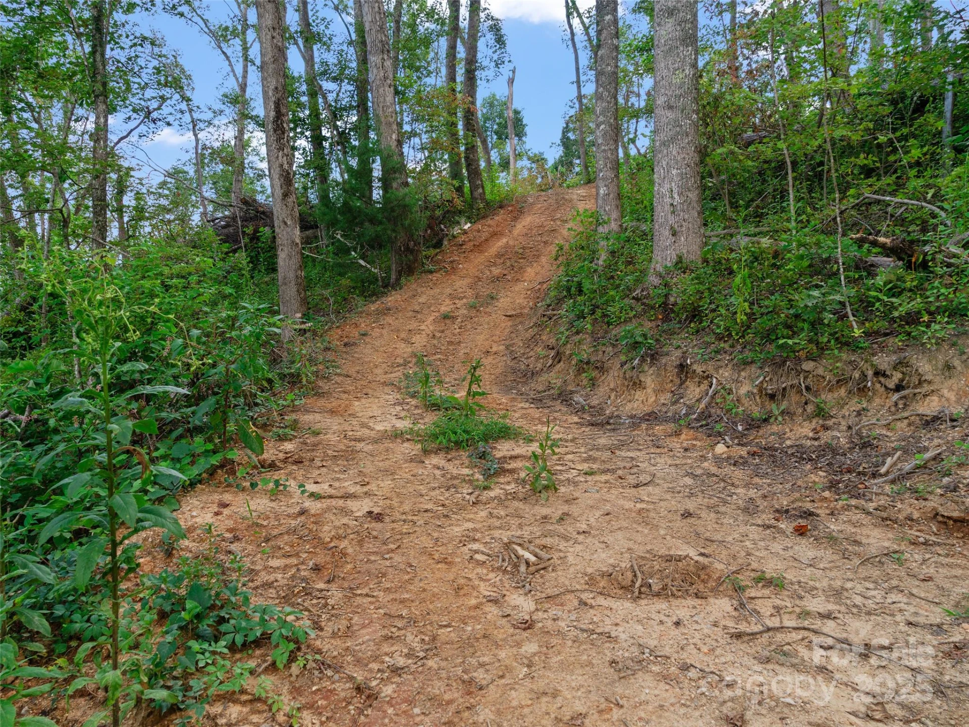 99999 Youngs Gap Road #South Lot - Photo 20