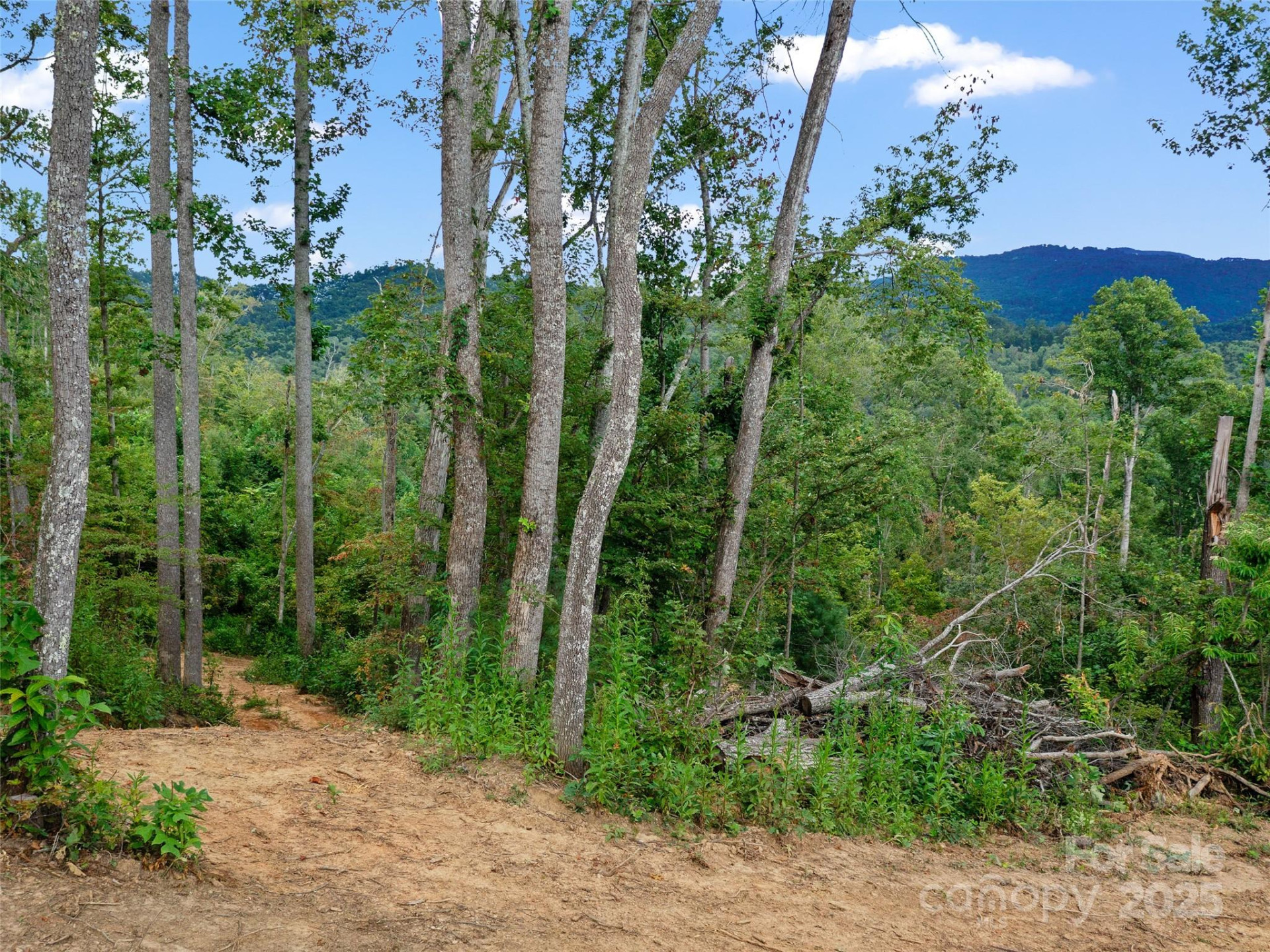 99999 Youngs Gap Road #South Lot - Photo 23