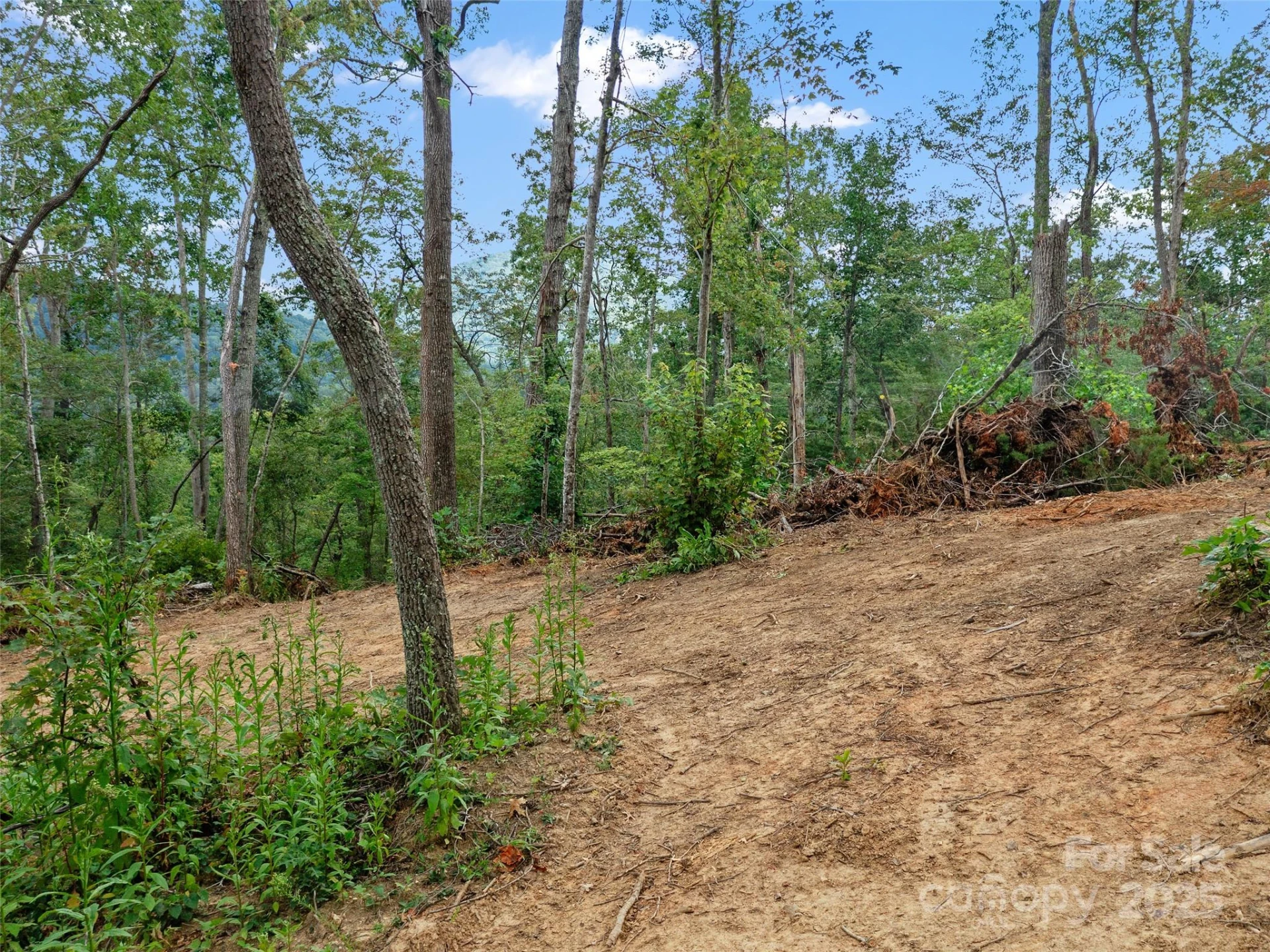99999 Youngs Gap Road #South Lot - Photo 24