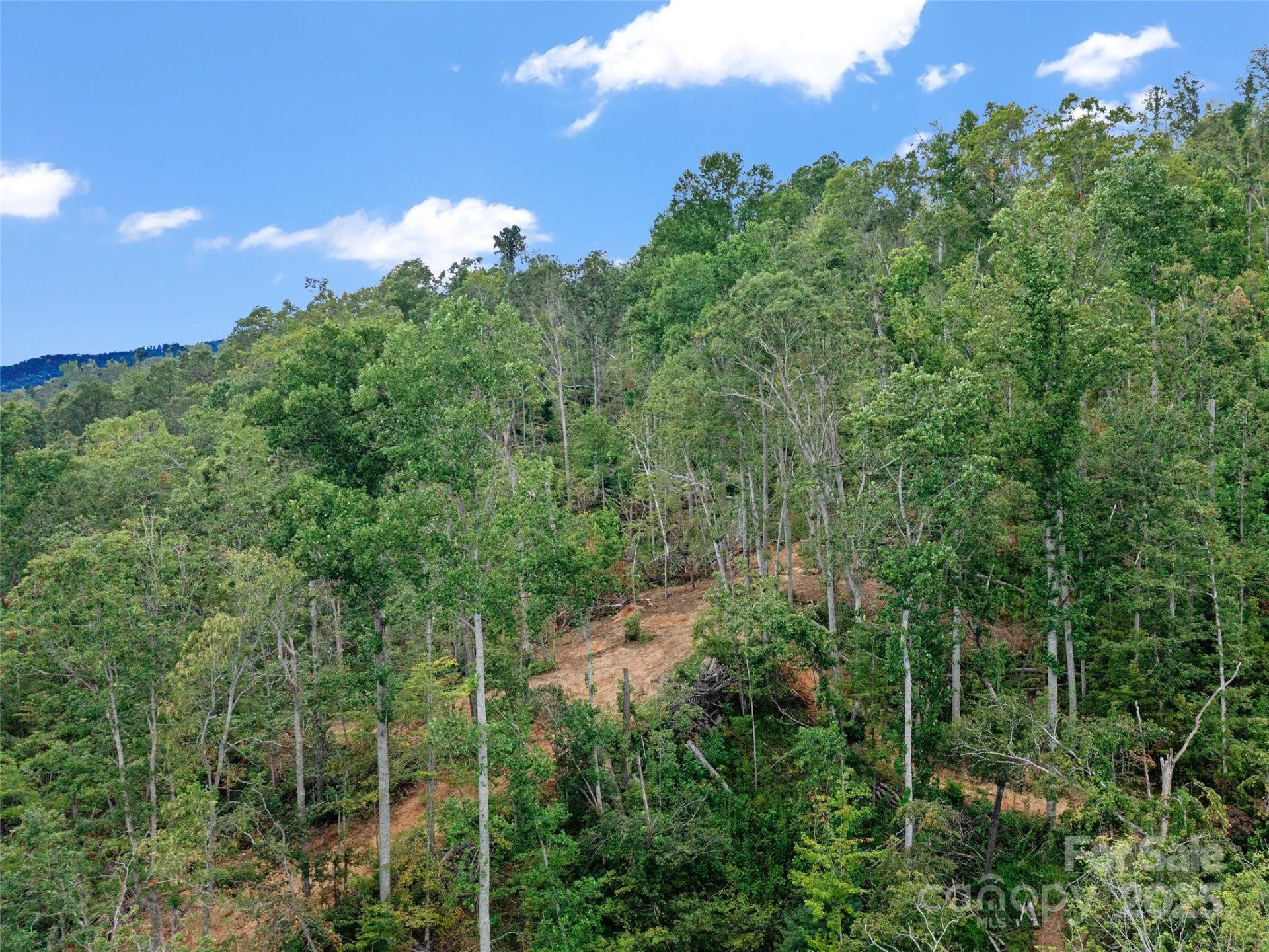 99999 Youngs Gap Road #South Lot - Photo 26