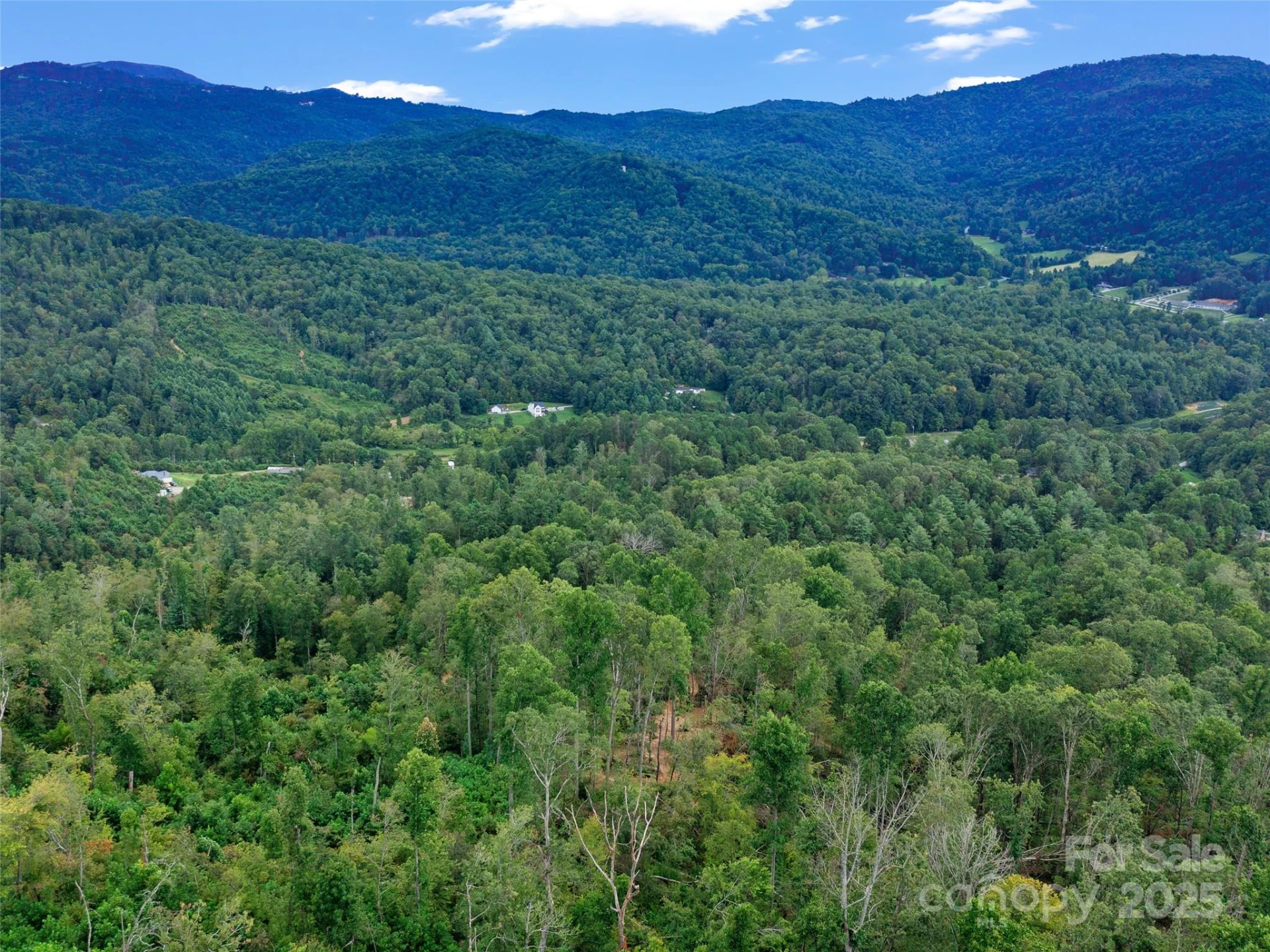 99999 Youngs Gap Road #South Lot - Photo 27