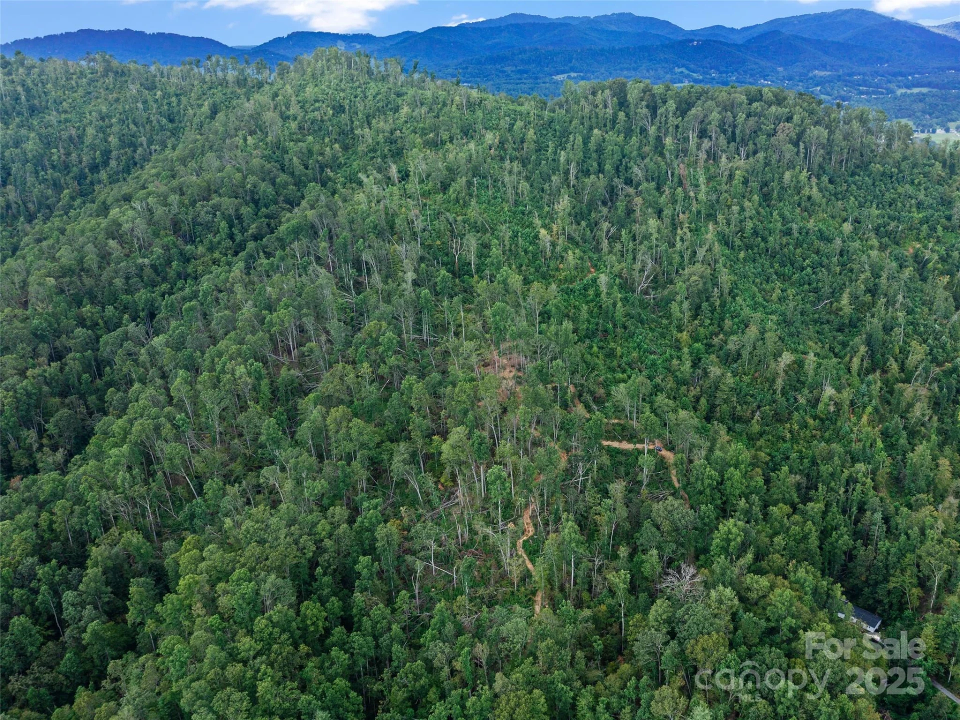 99999 Youngs Gap Road #South Lot - Photo 28