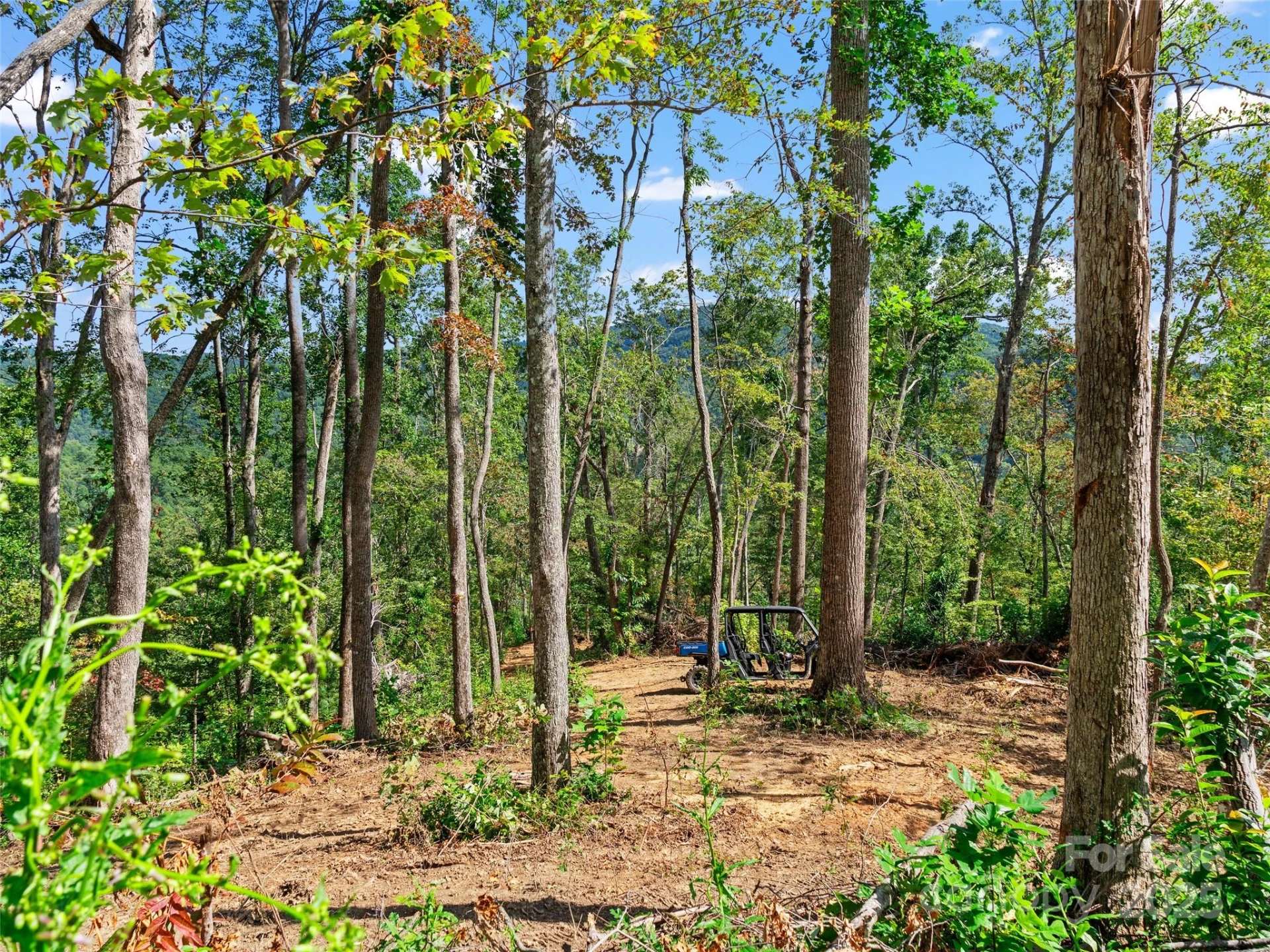 99999 Youngs Gap Road #South Lot - Photo 5
