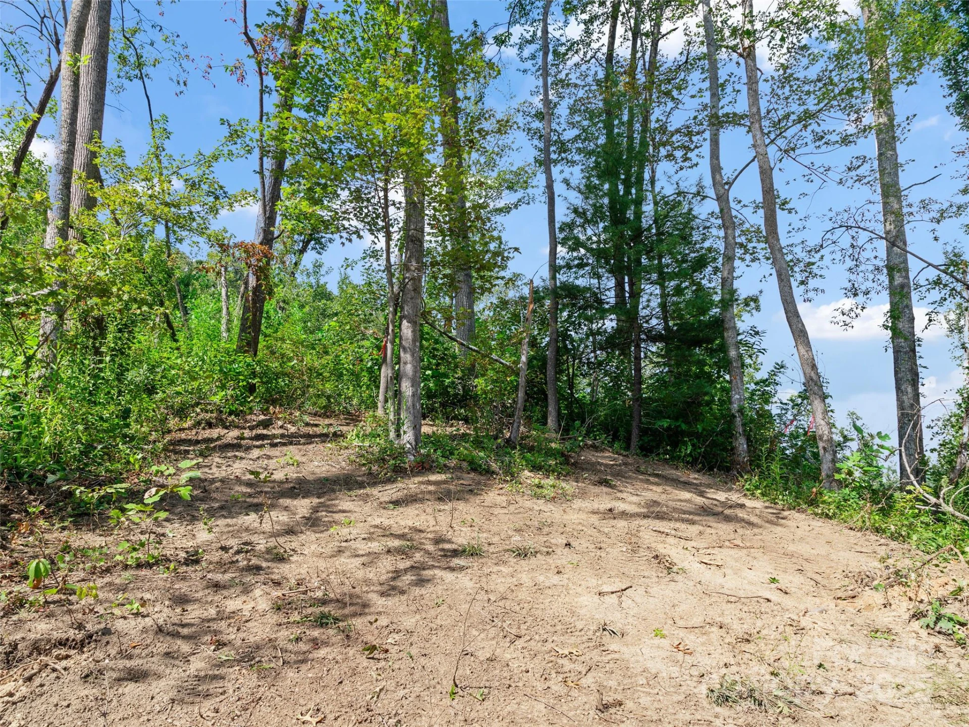 99999 Youngs Gap Road #South Lot - Photo 6