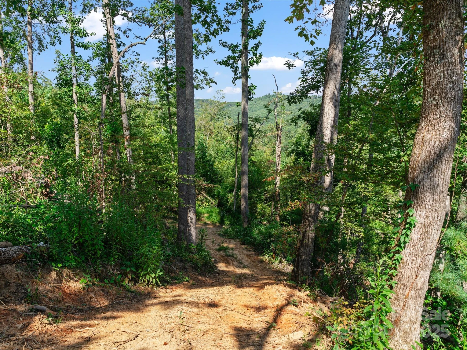 99999 Youngs Gap Road #South Lot - Photo 9