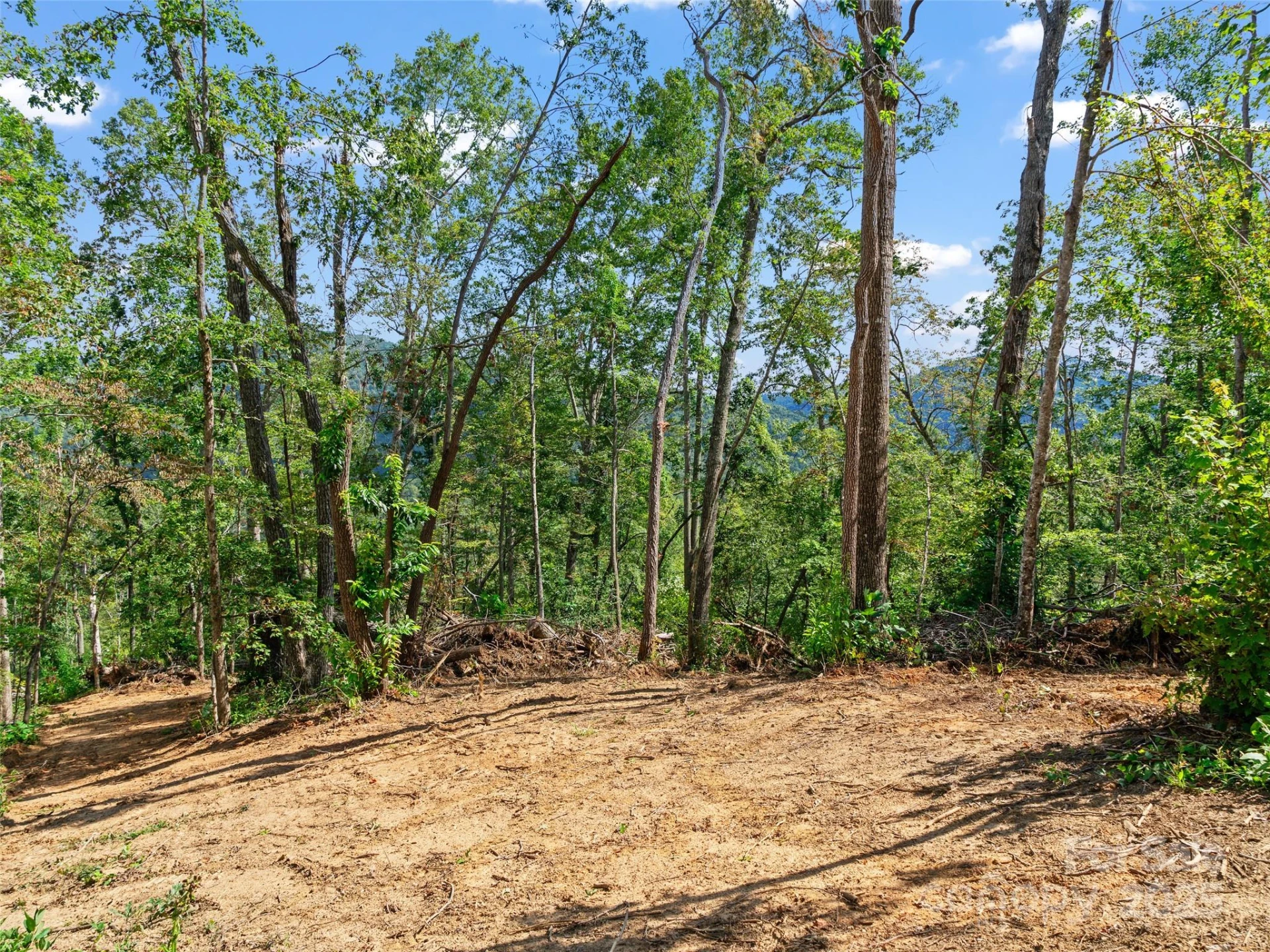 99999 Youngs Gap Road #South Lot - Photo 10
