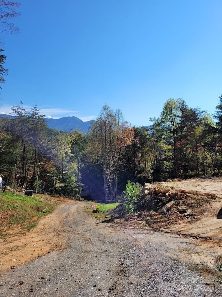 53 Dakota Way #4 - Photo 12