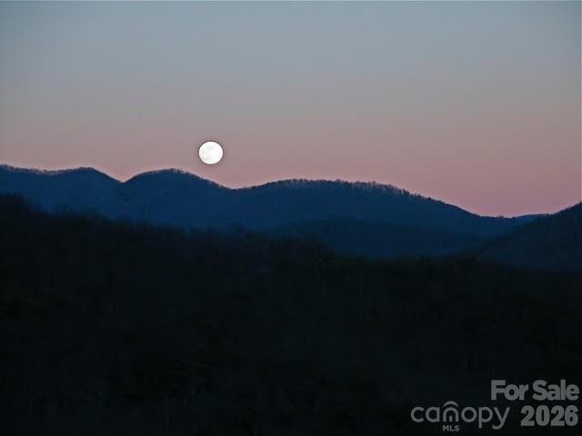 52 Hope View Road - Photo 15